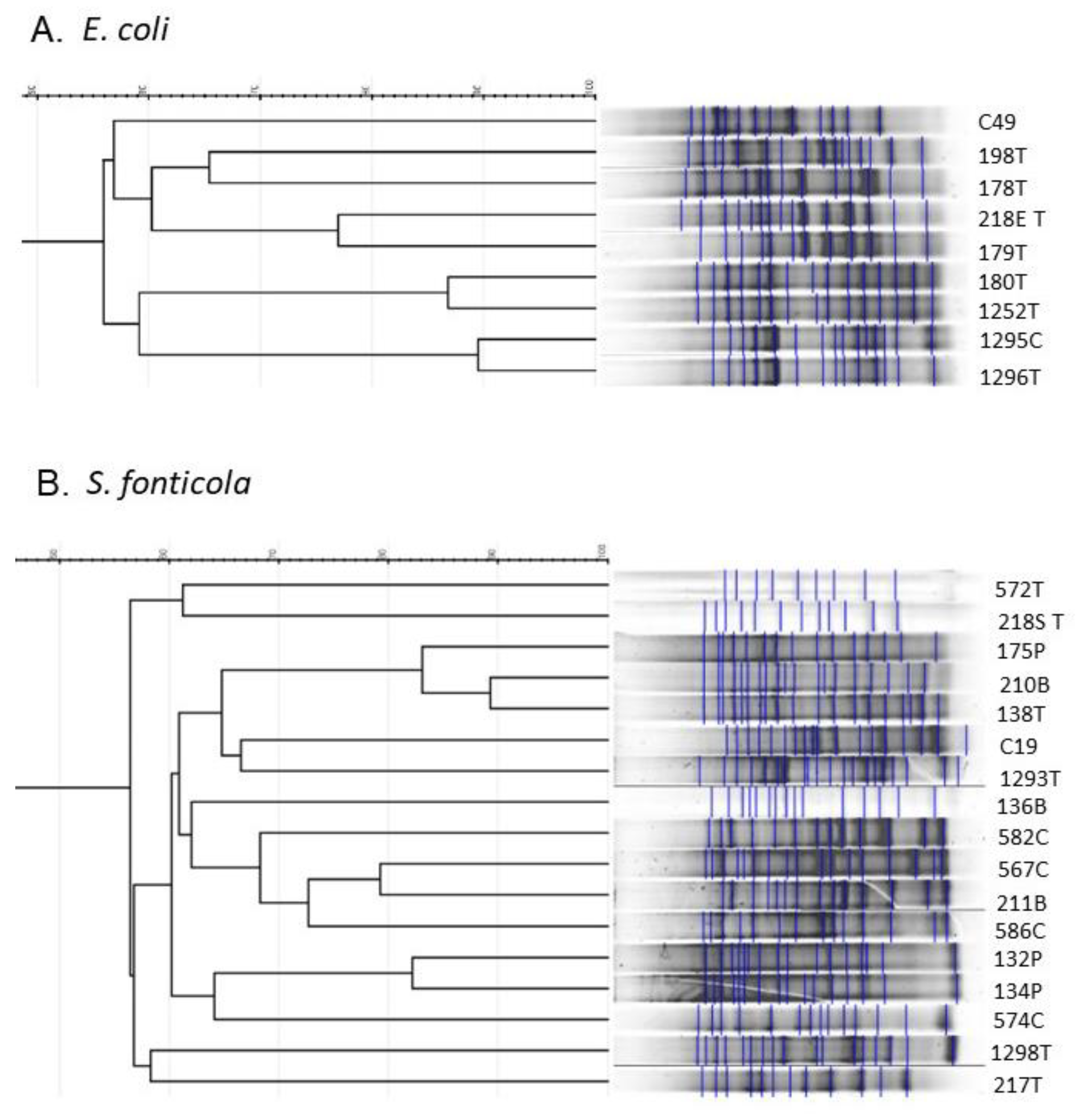 Molecules 27 04151 g004 Molecules 27 04151 g004