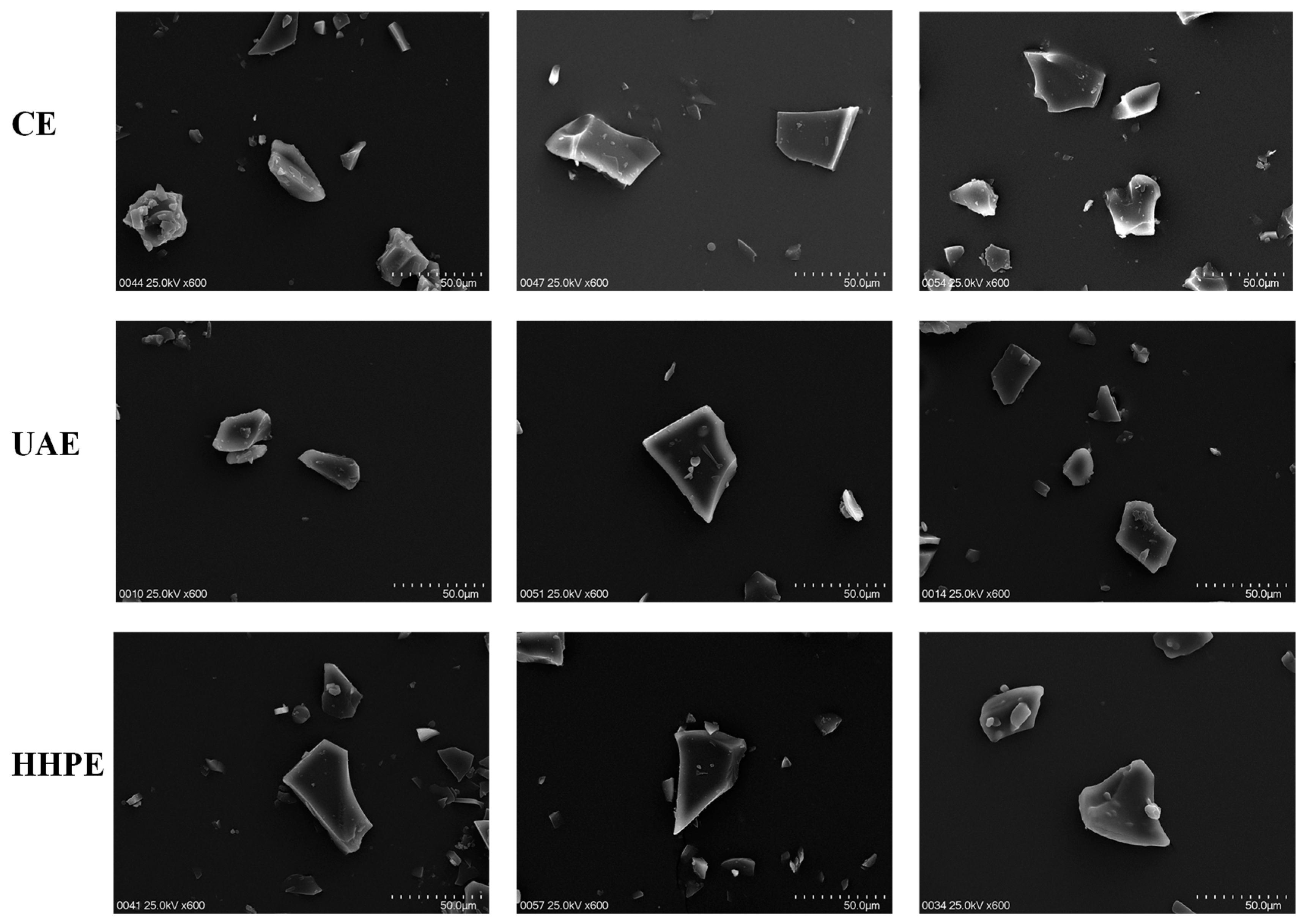 Molecules 27 04166 g002 Molecules 27 04166 g002