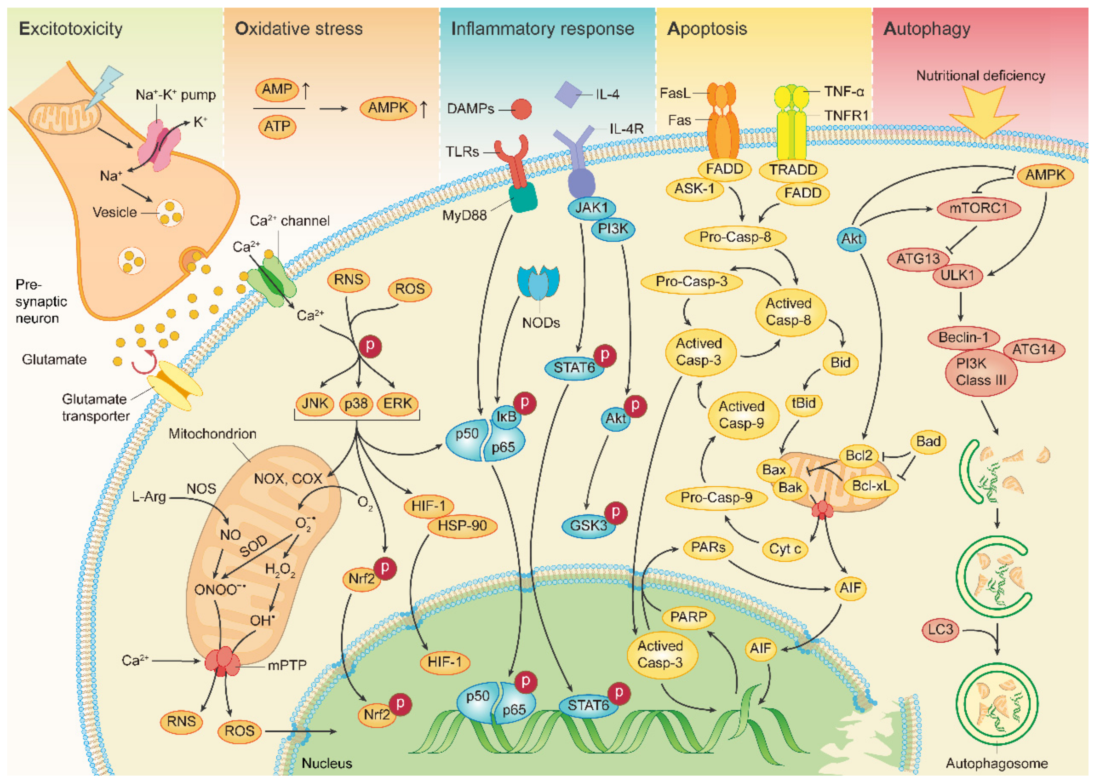 Molecules 27 04181 g002