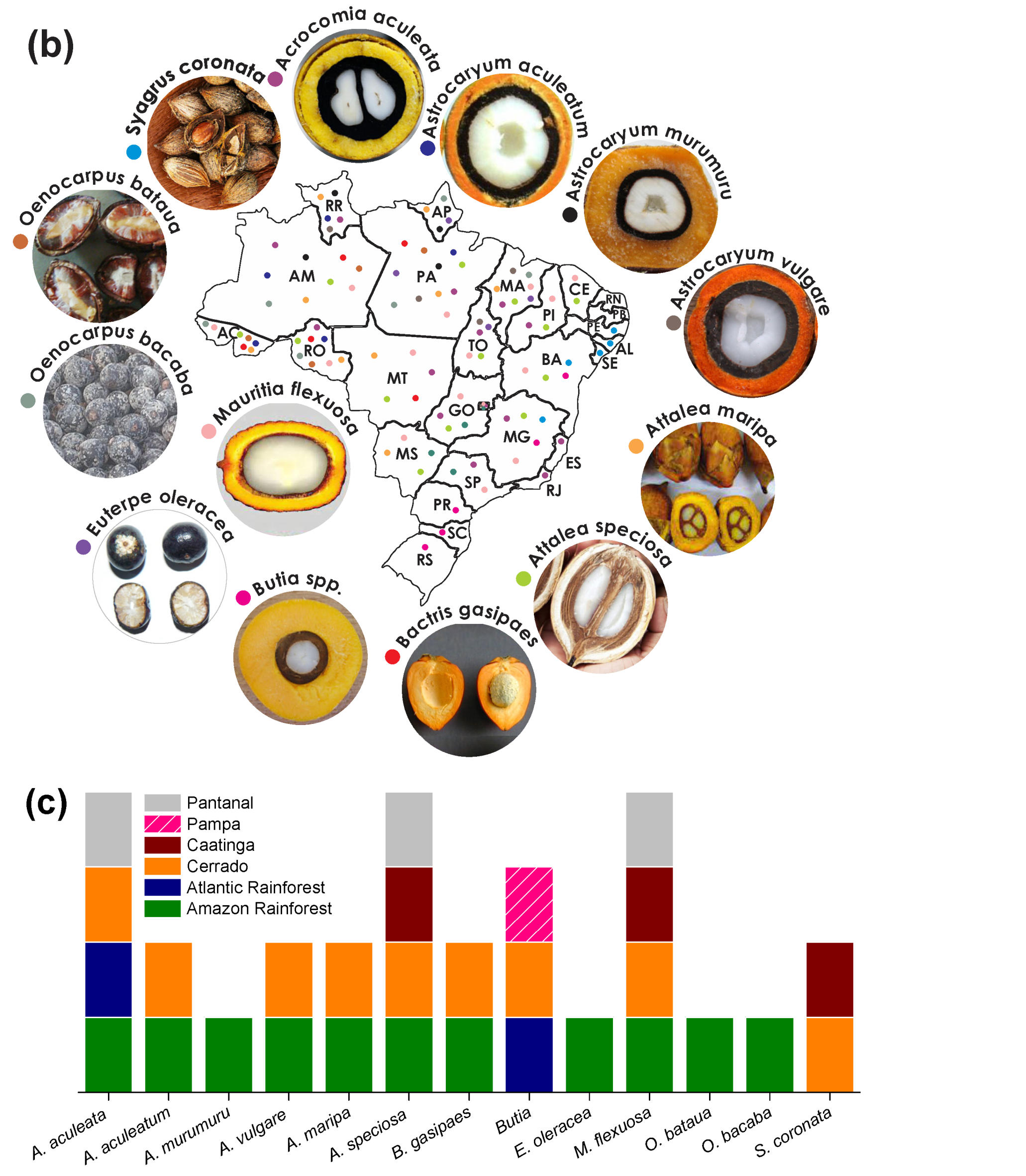 Molecules 27 04188 g006b Molecules 27 04188 g006b