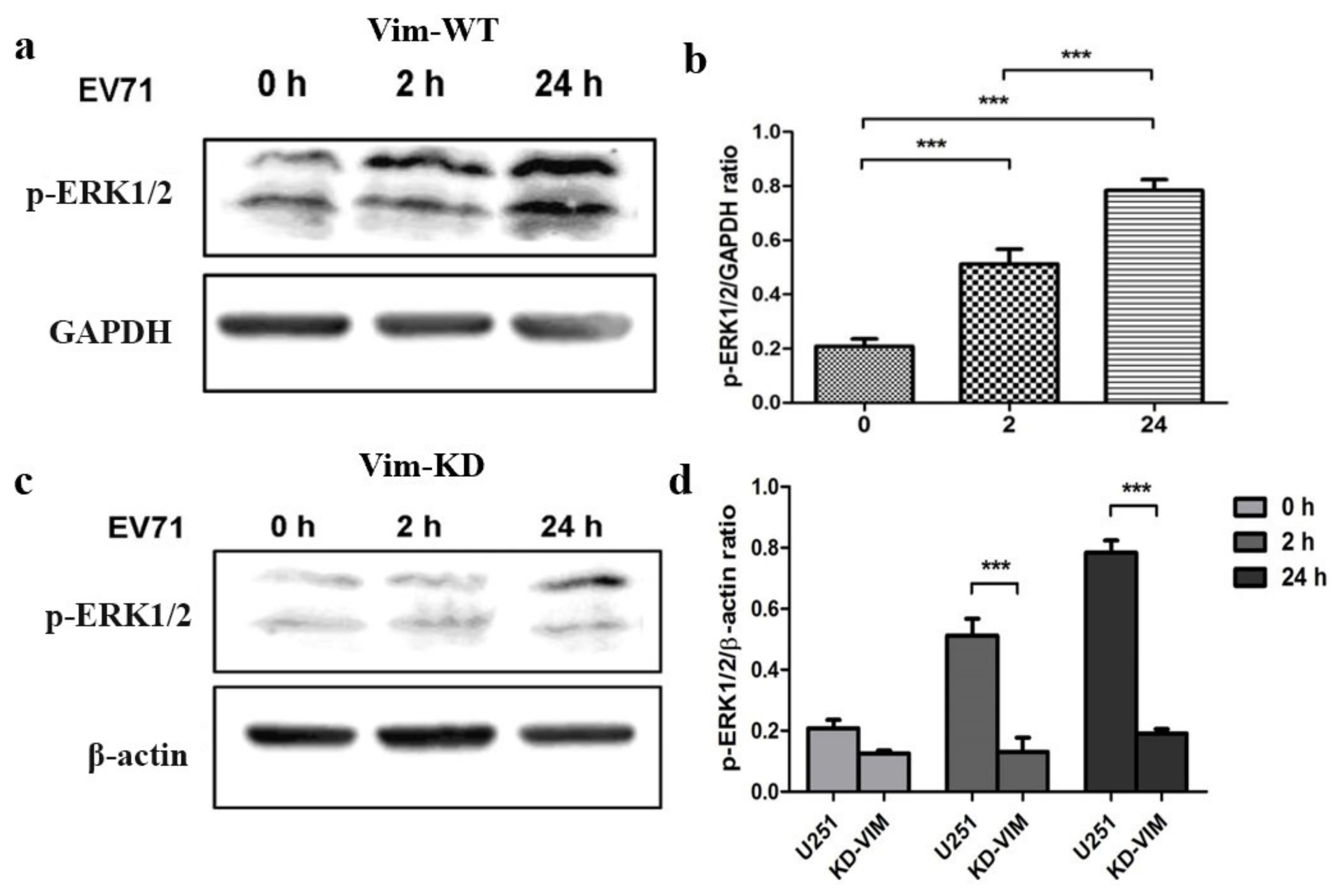 Molecules 27 04190 g001 Molecules 27 04190 g001