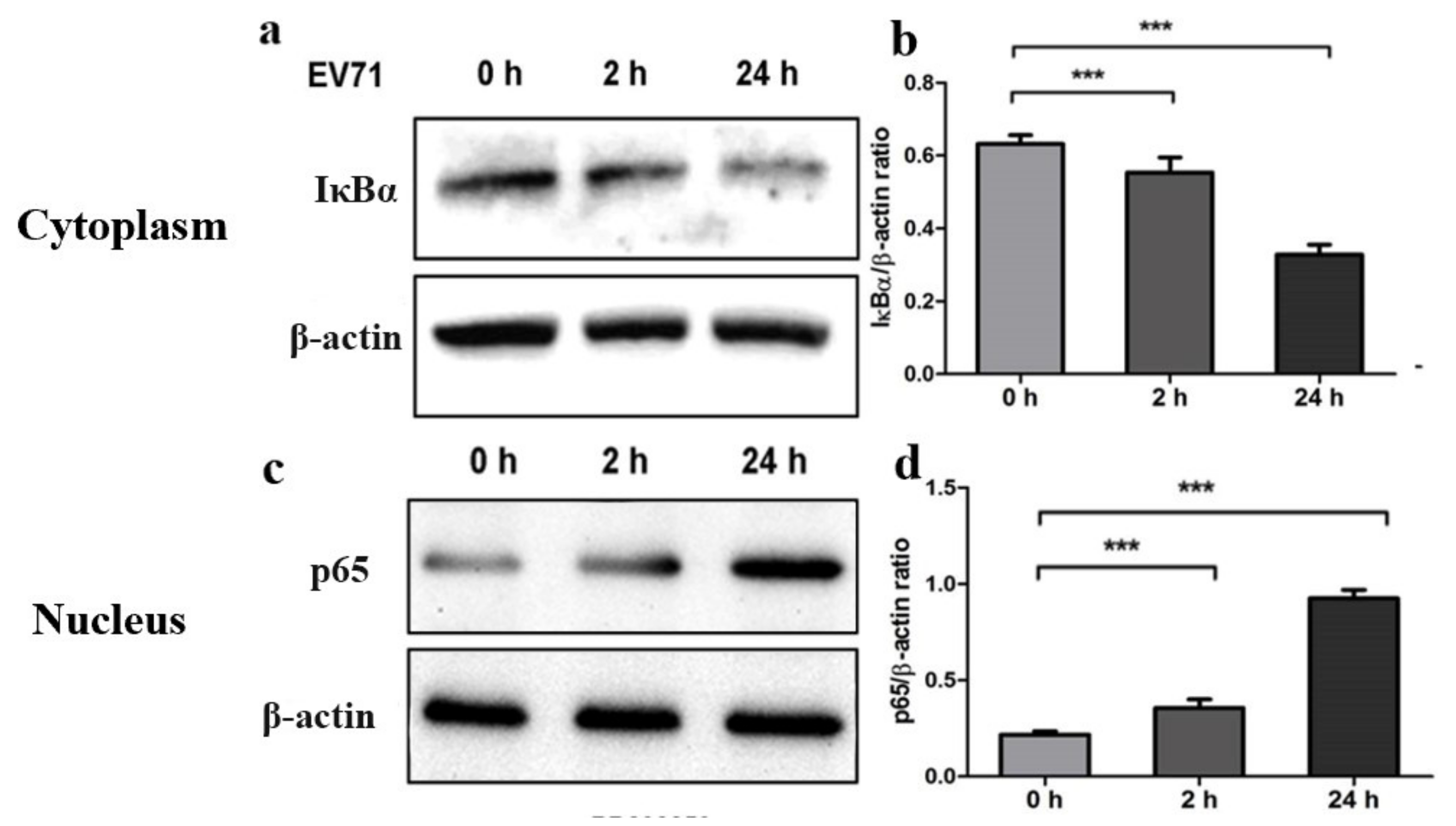 Molecules 27 04190 g002 Molecules 27 04190 g002