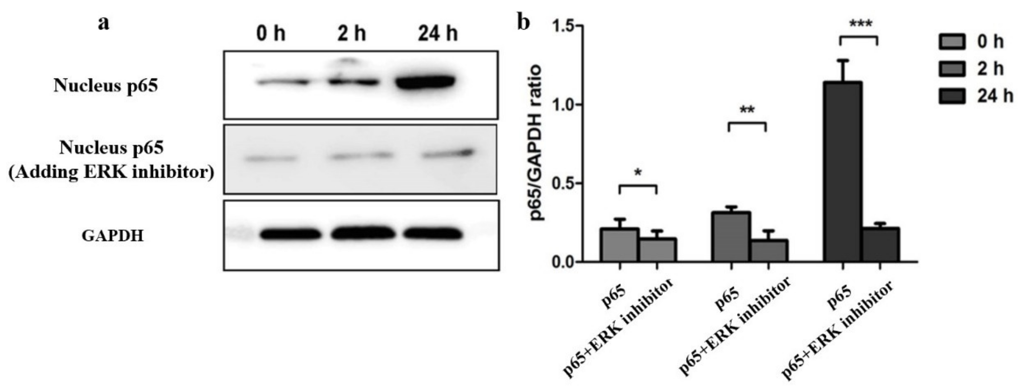 Molecules 27 04190 g003 Molecules 27 04190 g003