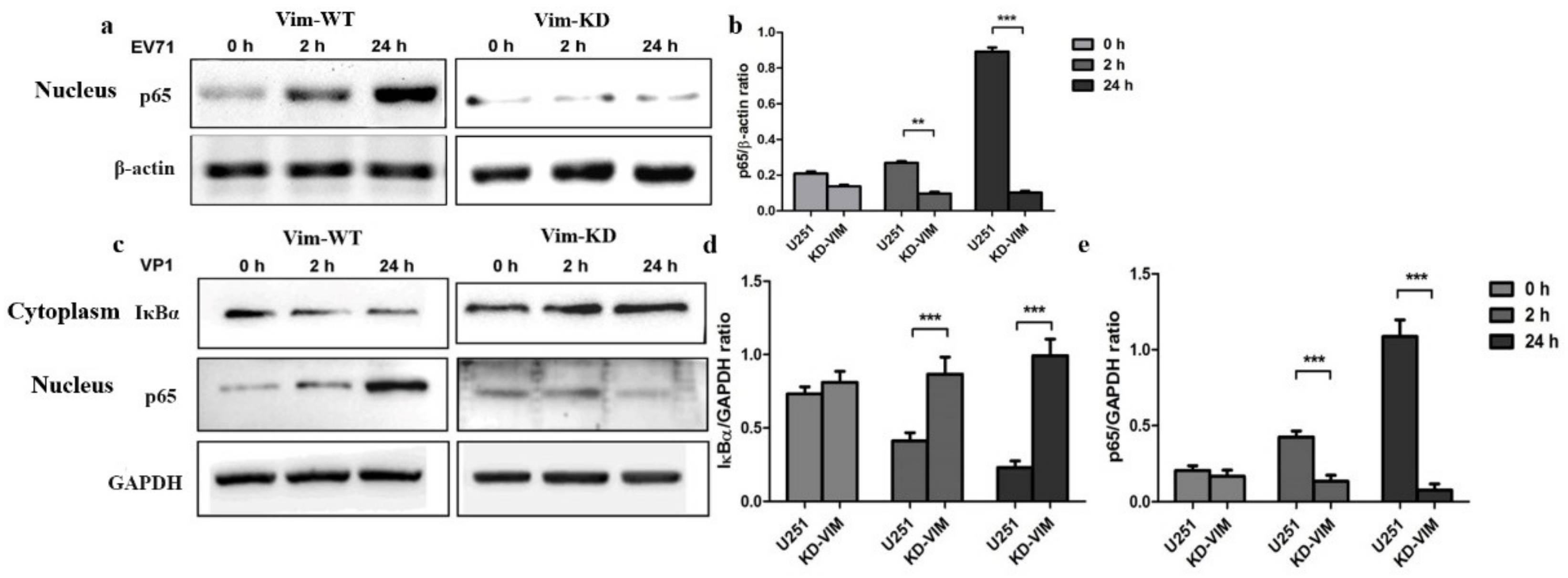 Molecules 27 04190 g004 Molecules 27 04190 g004