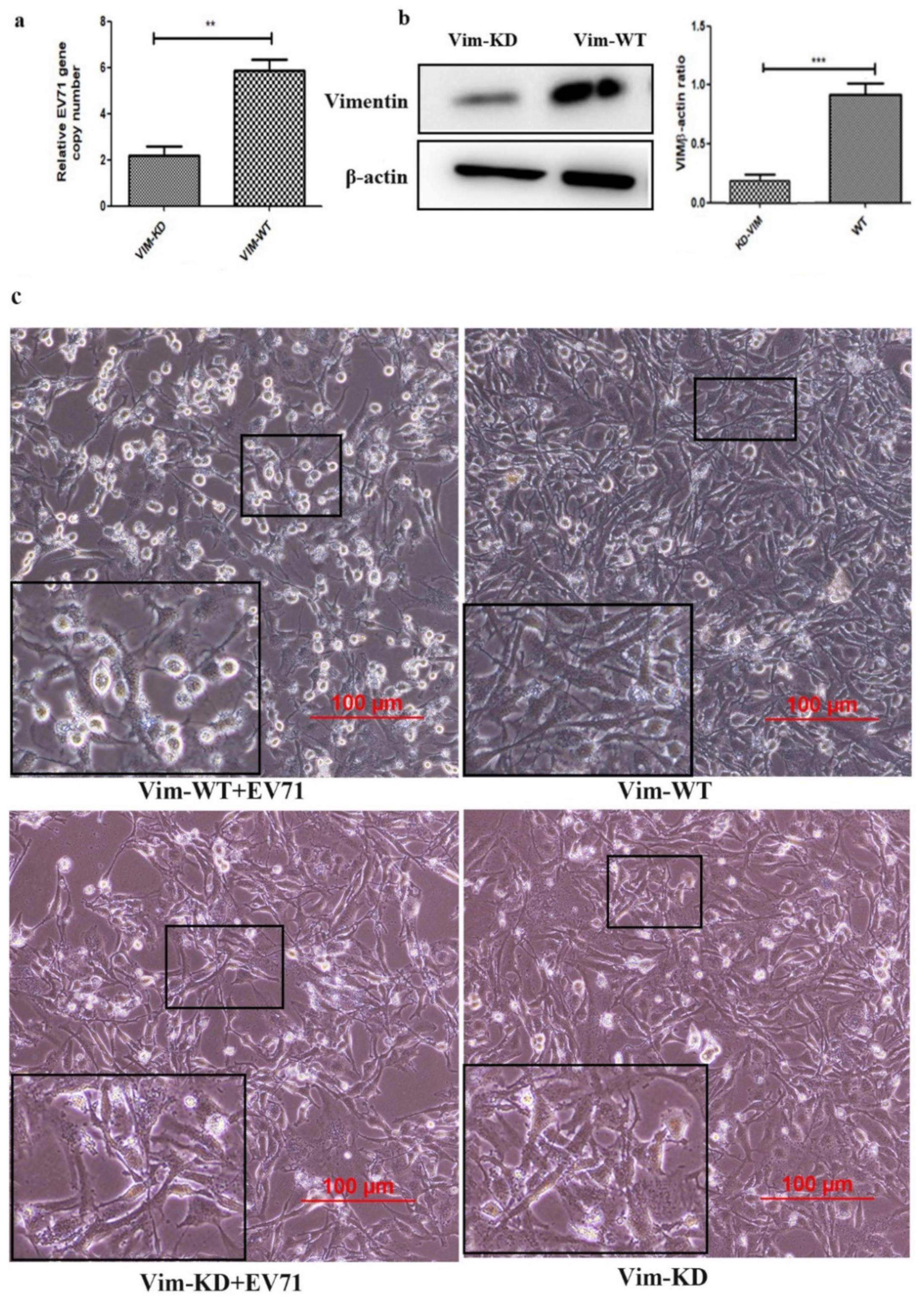 Molecules 27 04190 g006 Molecules 27 04190 g006