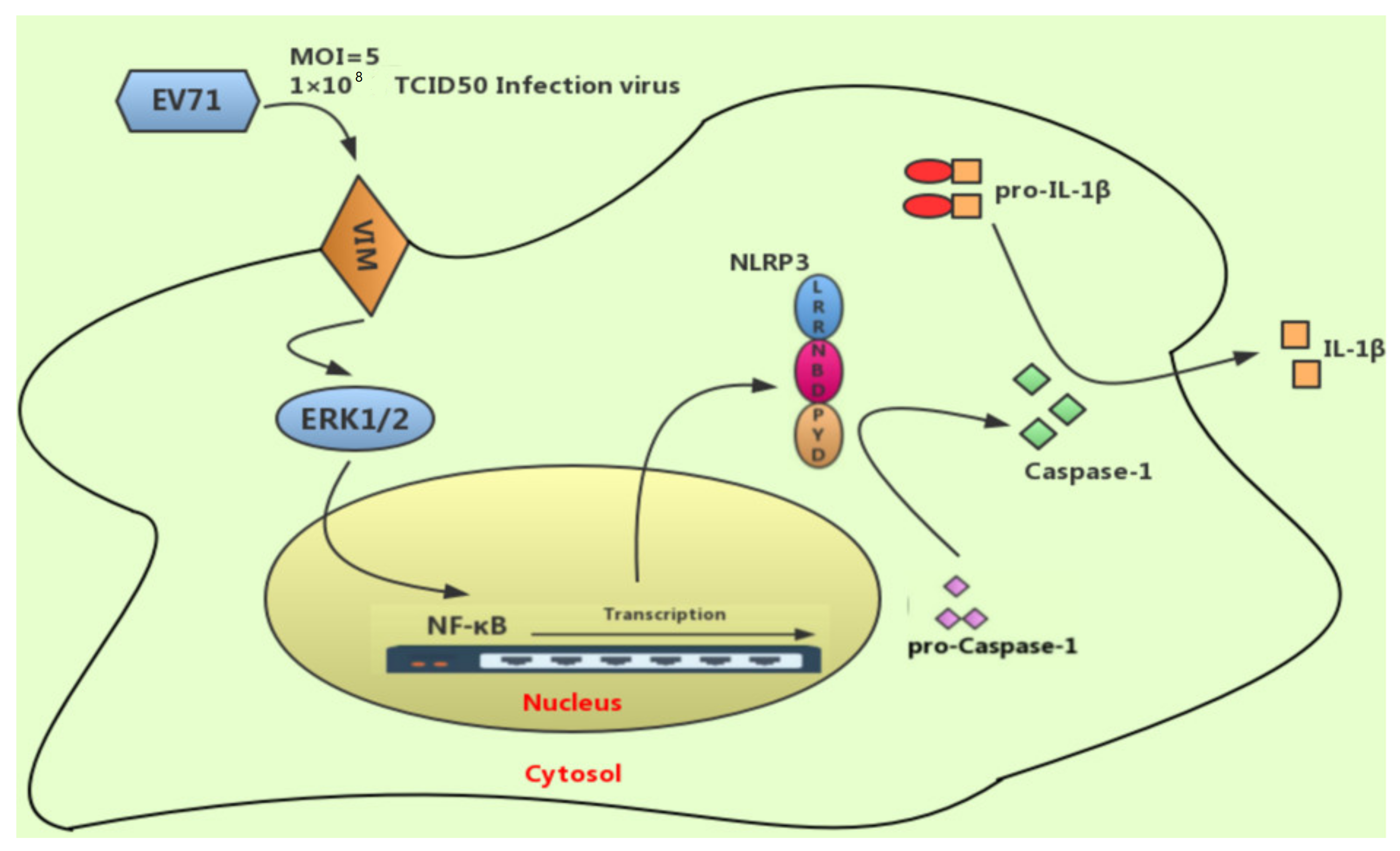 Molecules 27 04190 g007 Molecules 27 04190 g007