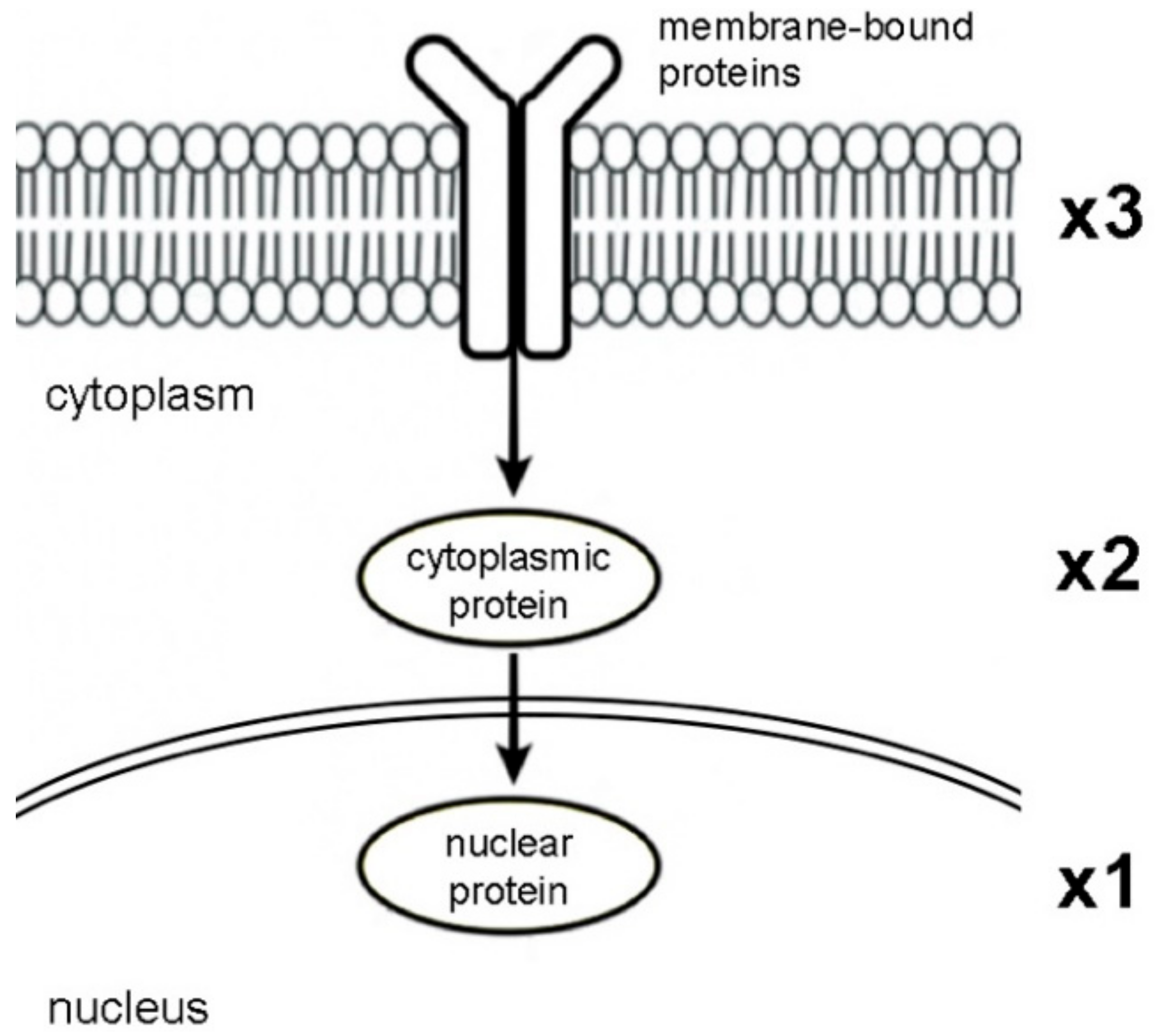 Molecules 27 04194 g002