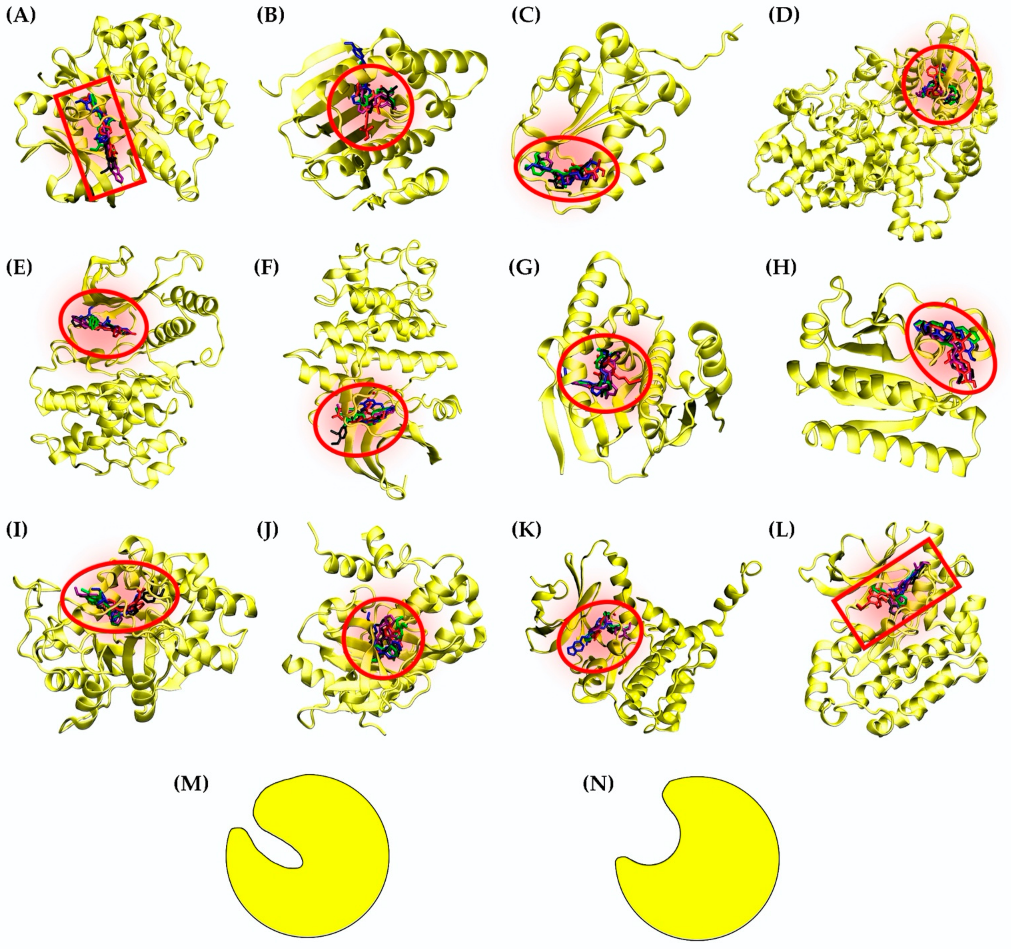 Molecules 27 04194 g003