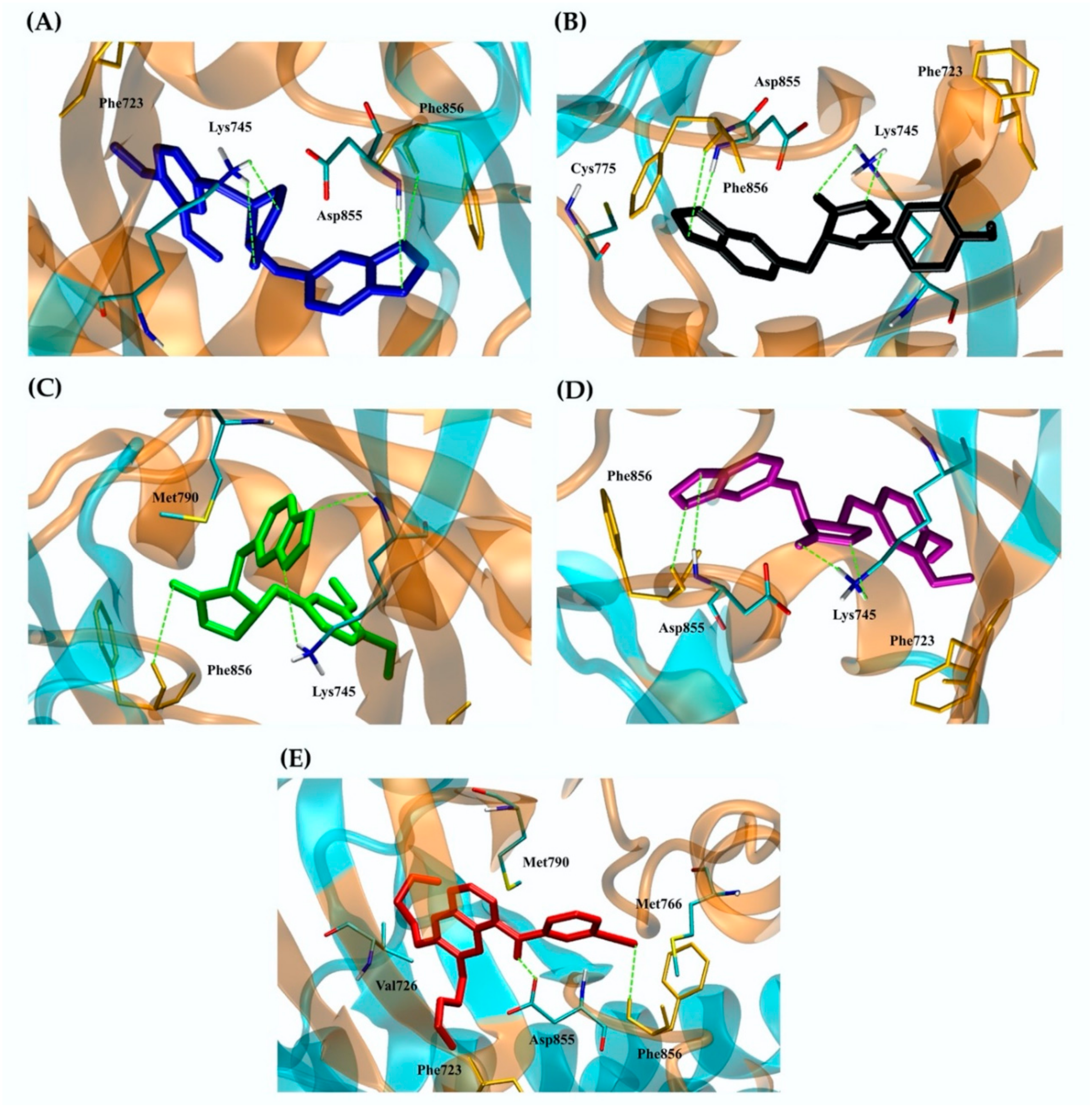 Molecules 27 04194 g005