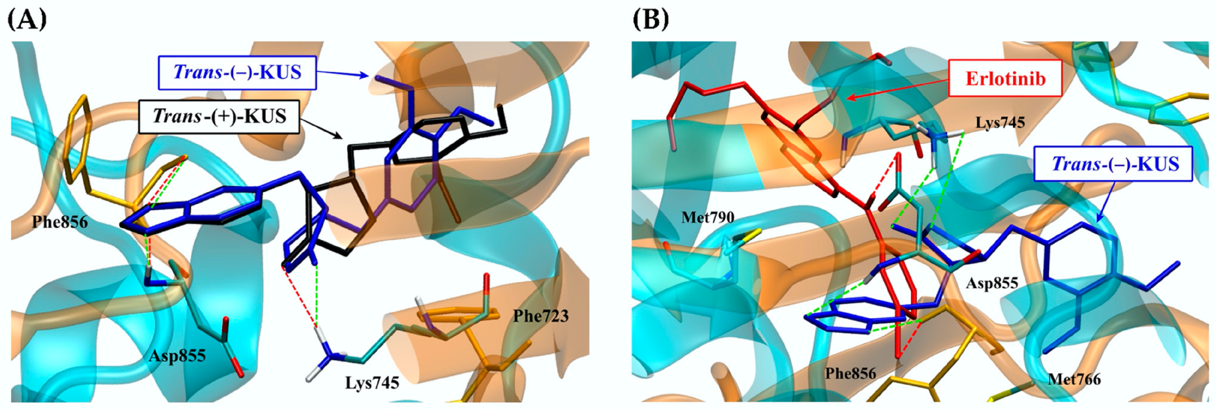 Molecules 27 04194 g007