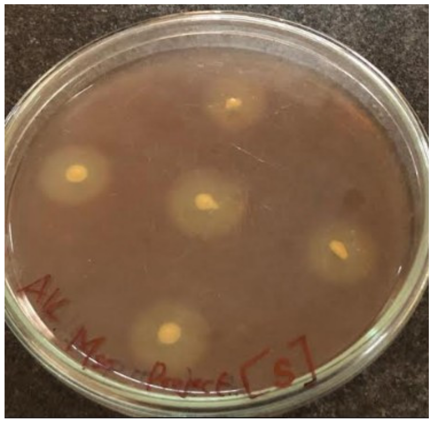 Molecules Free FullText Production and Purification of Pectinase