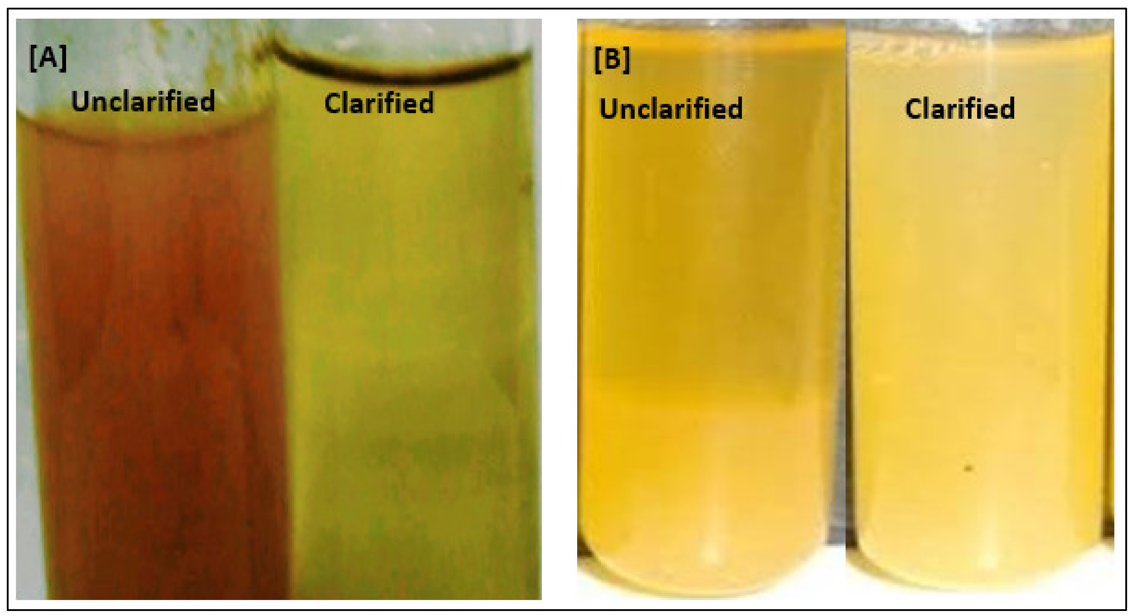 Molecules Free FullText Production and Purification of Pectinase
