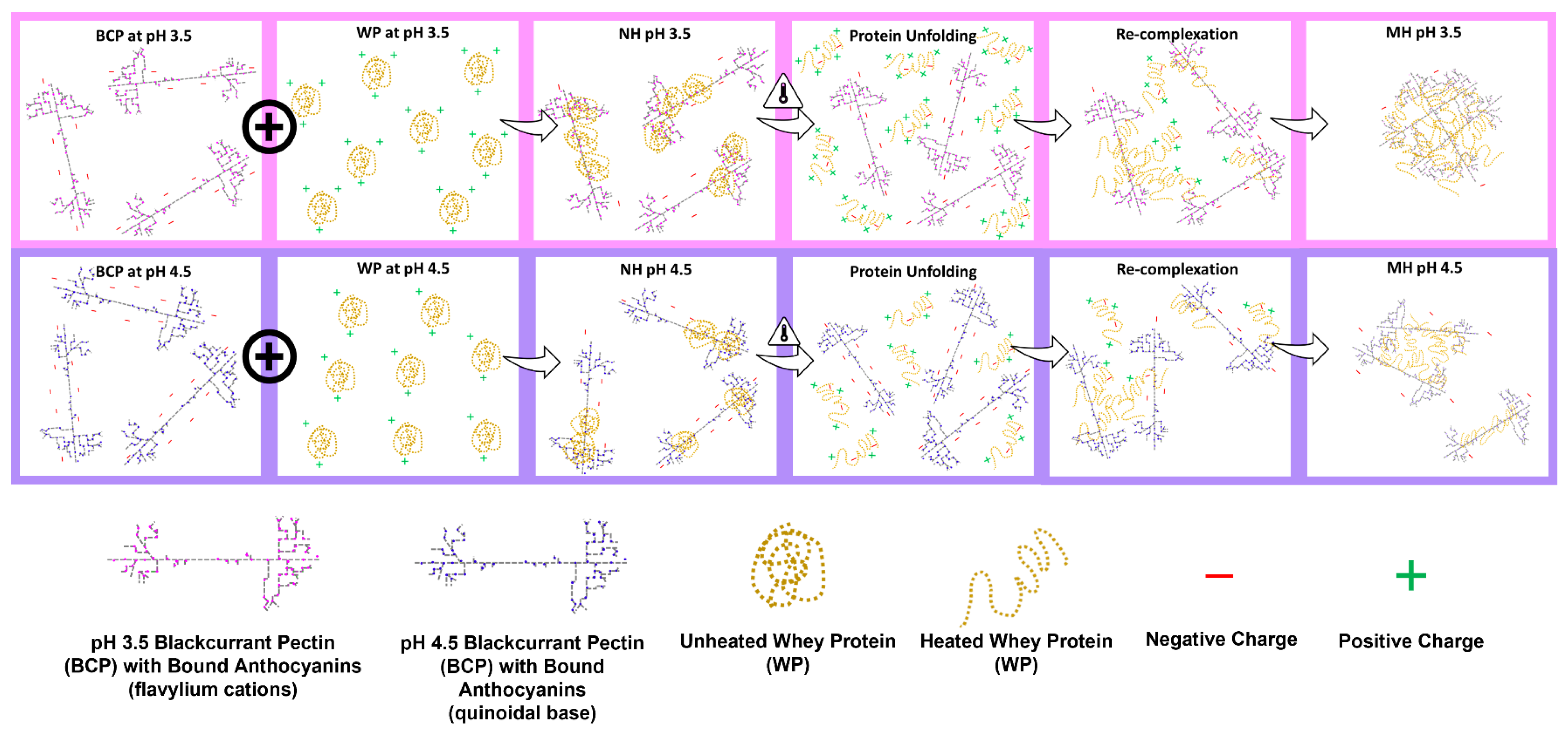 Molecules 27 04202 g011 550