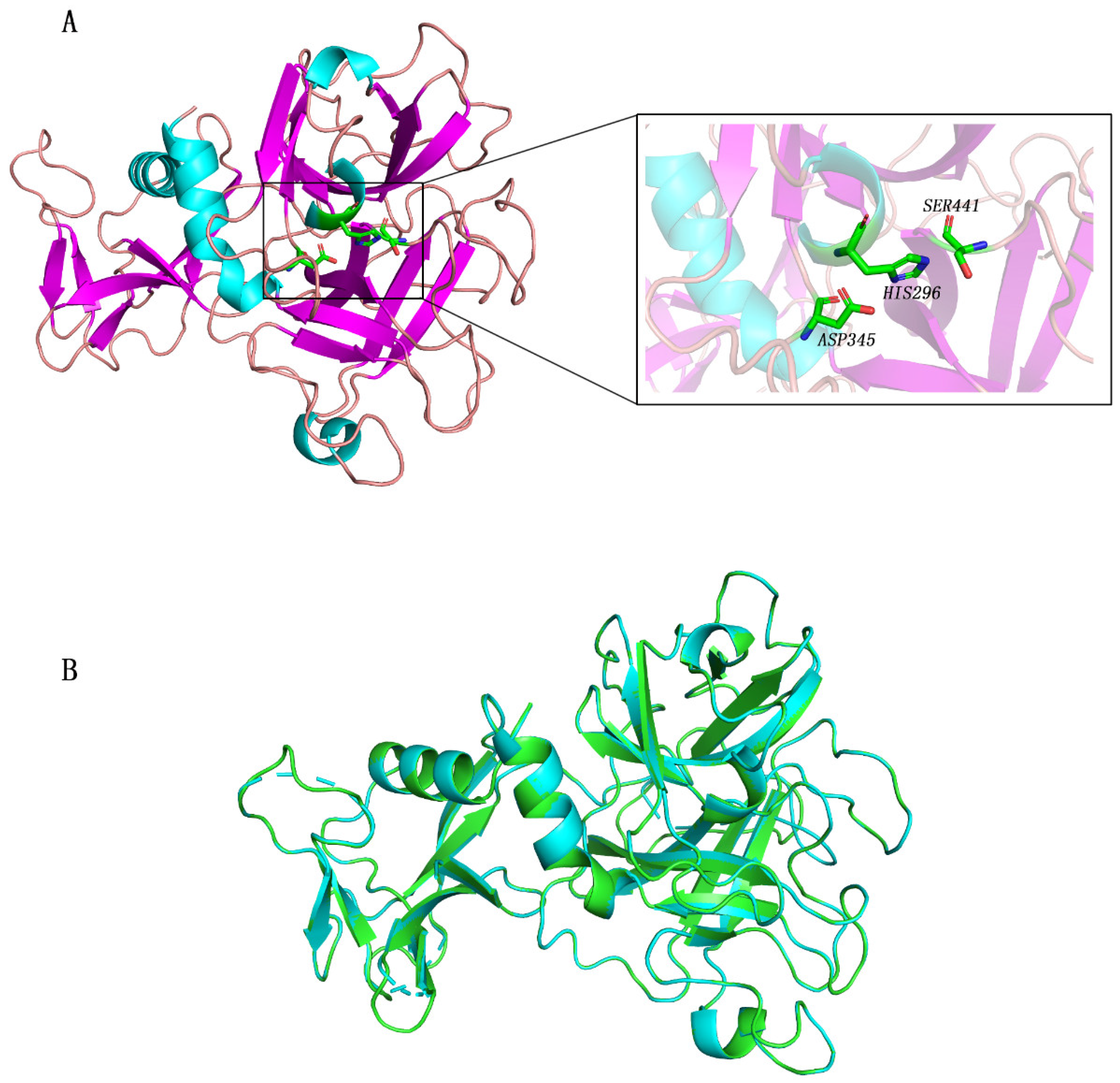Molecules 27 04210 g001 550