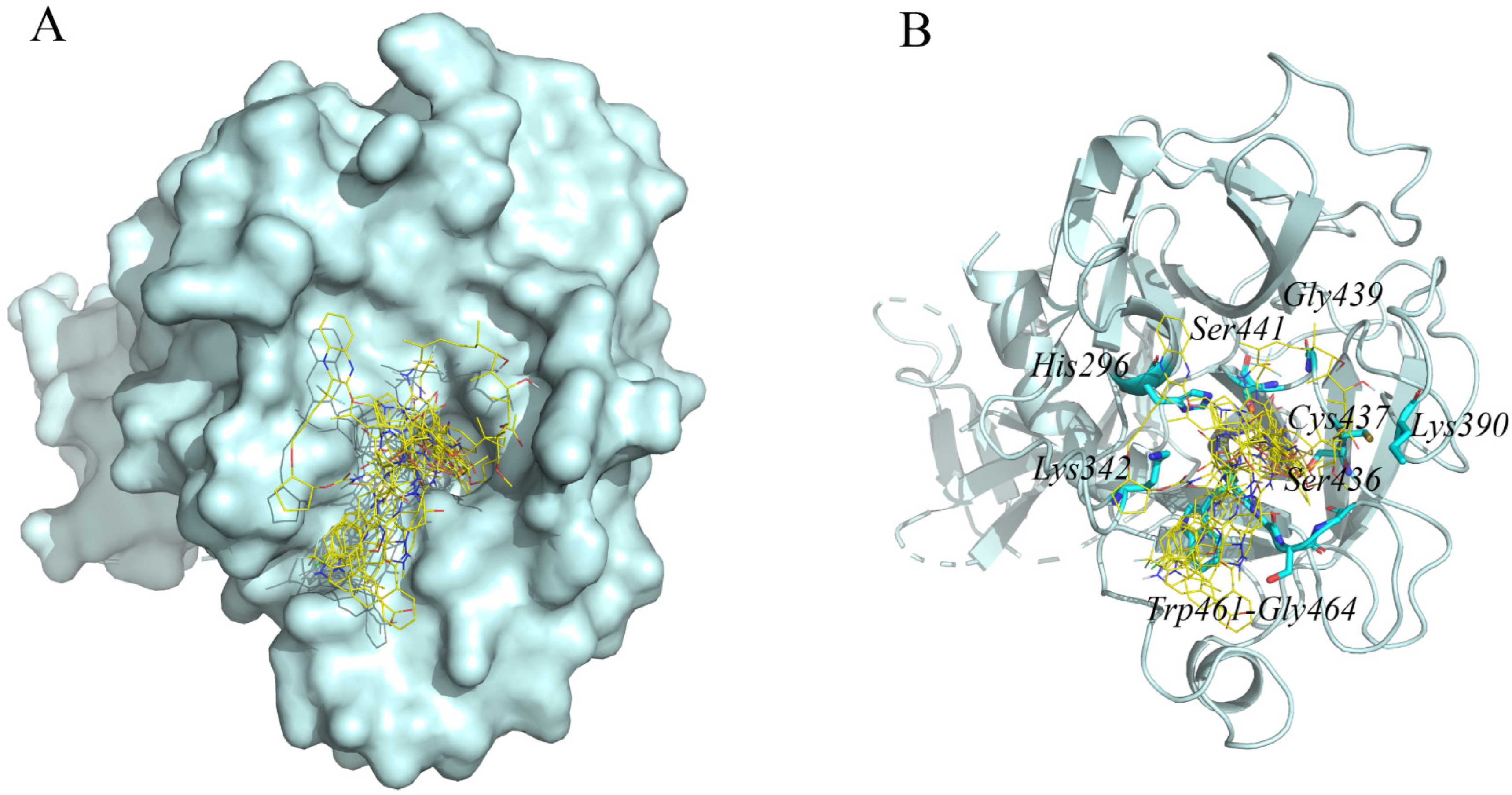 Molecules 27 04210 g002 550