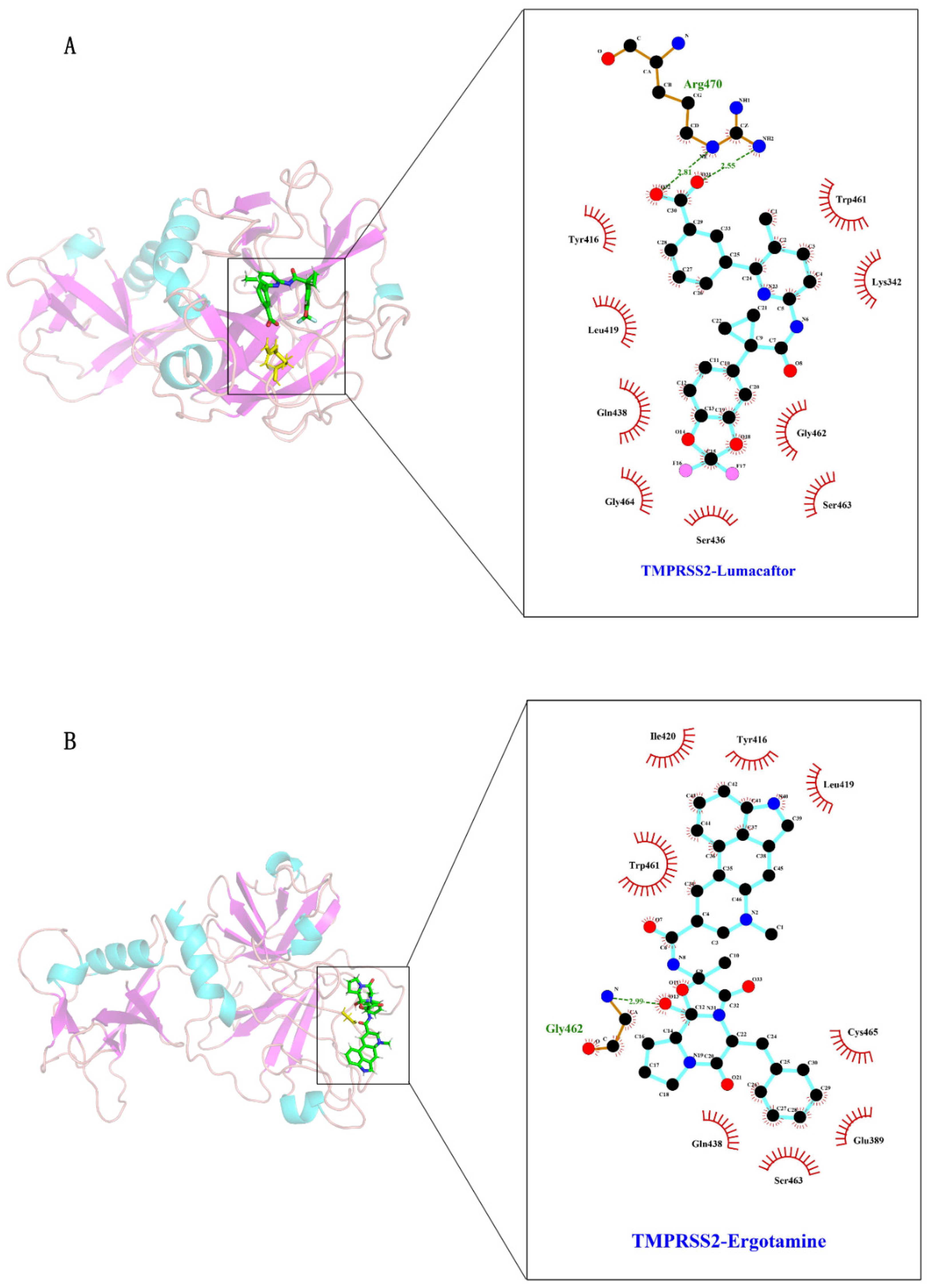 Molecules 27 04210 g005 550