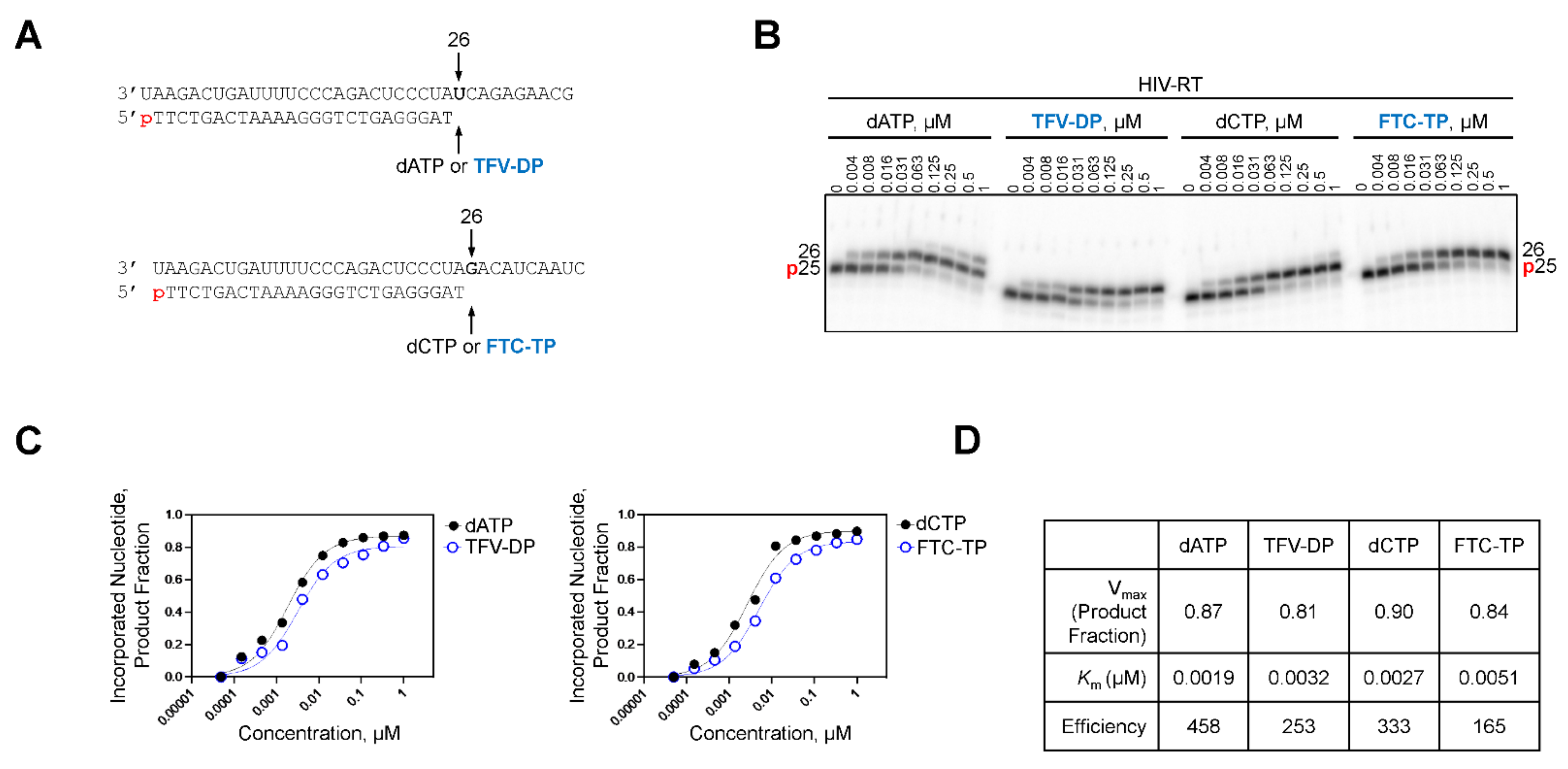 Molecules 27 04212 g003