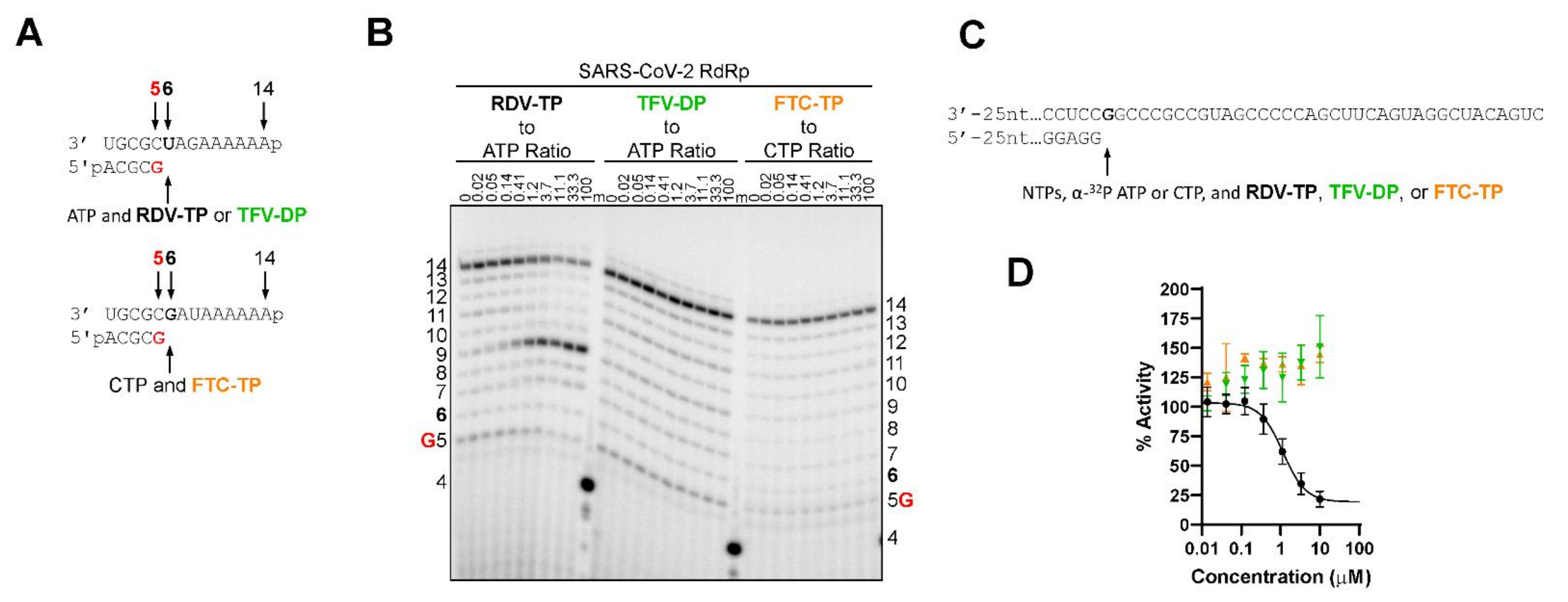 Molecules 27 04212 g004