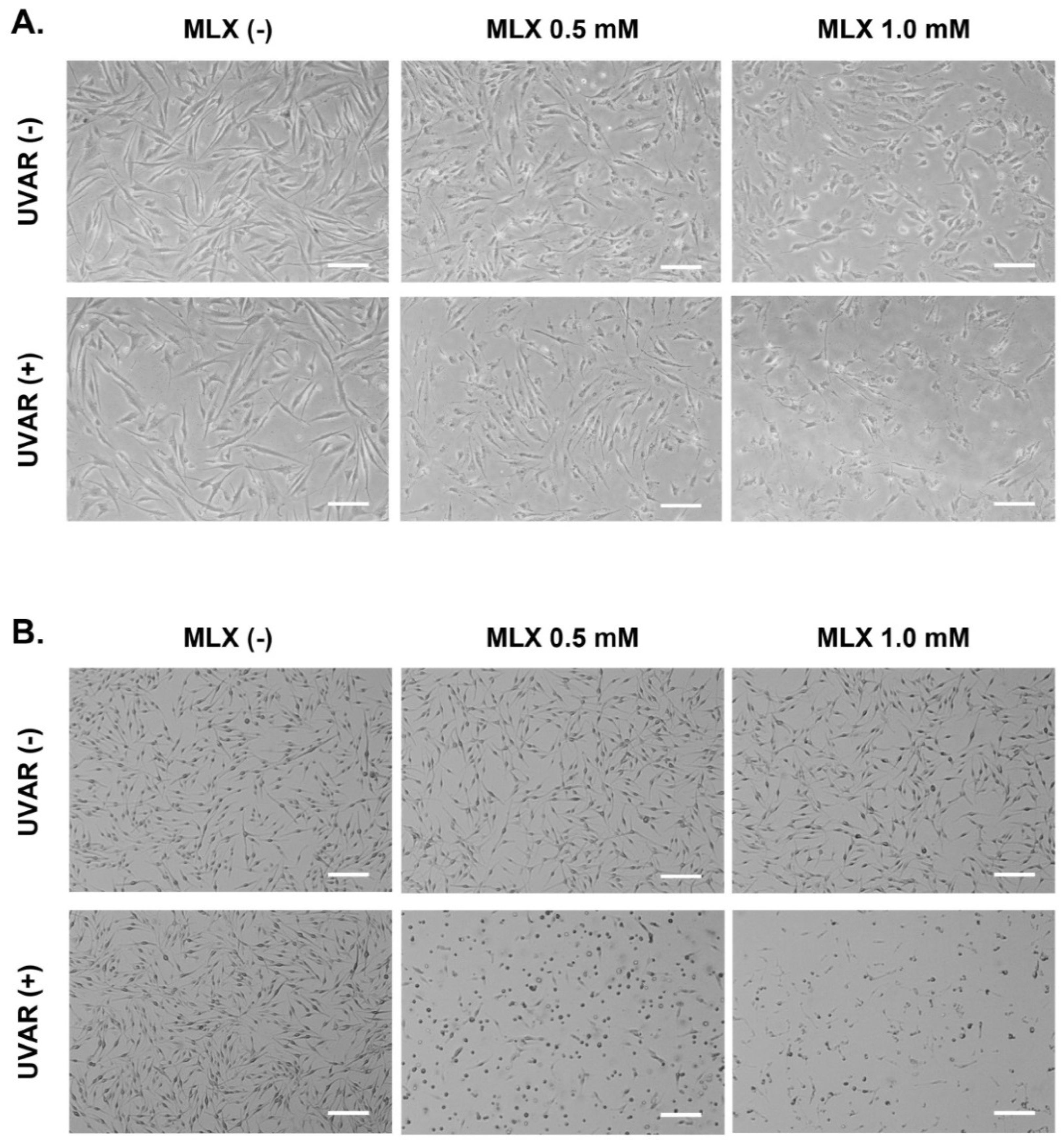 Molecules 27 04215 g003 550