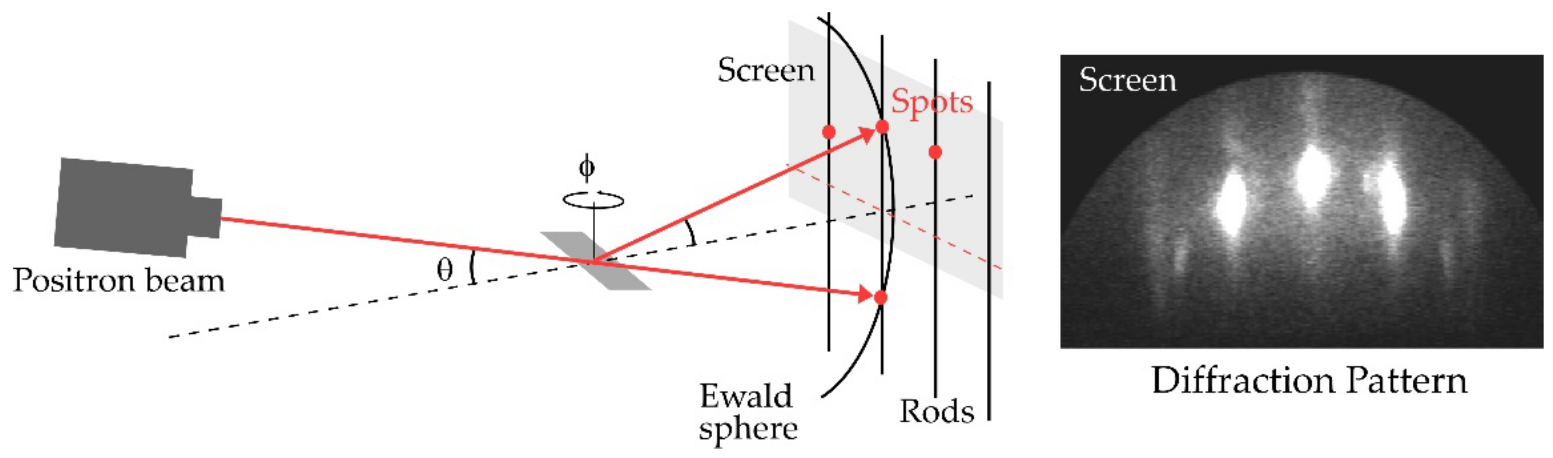 Molecules 27 04219 g006