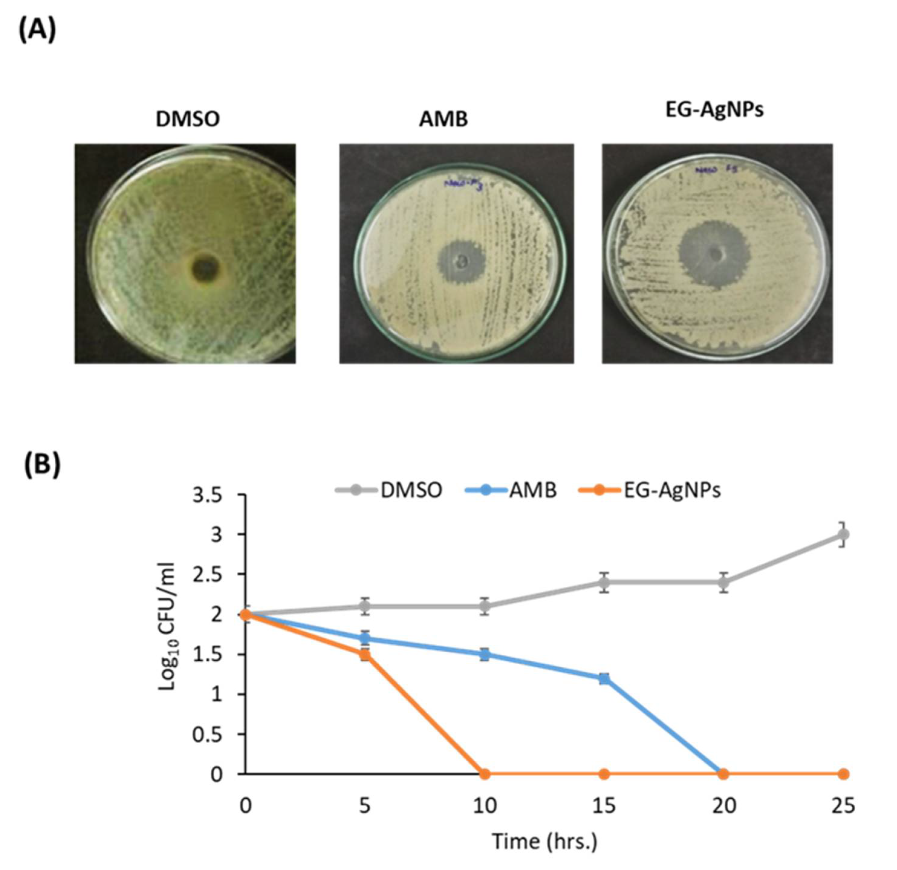 Molecules 27 04221 g003