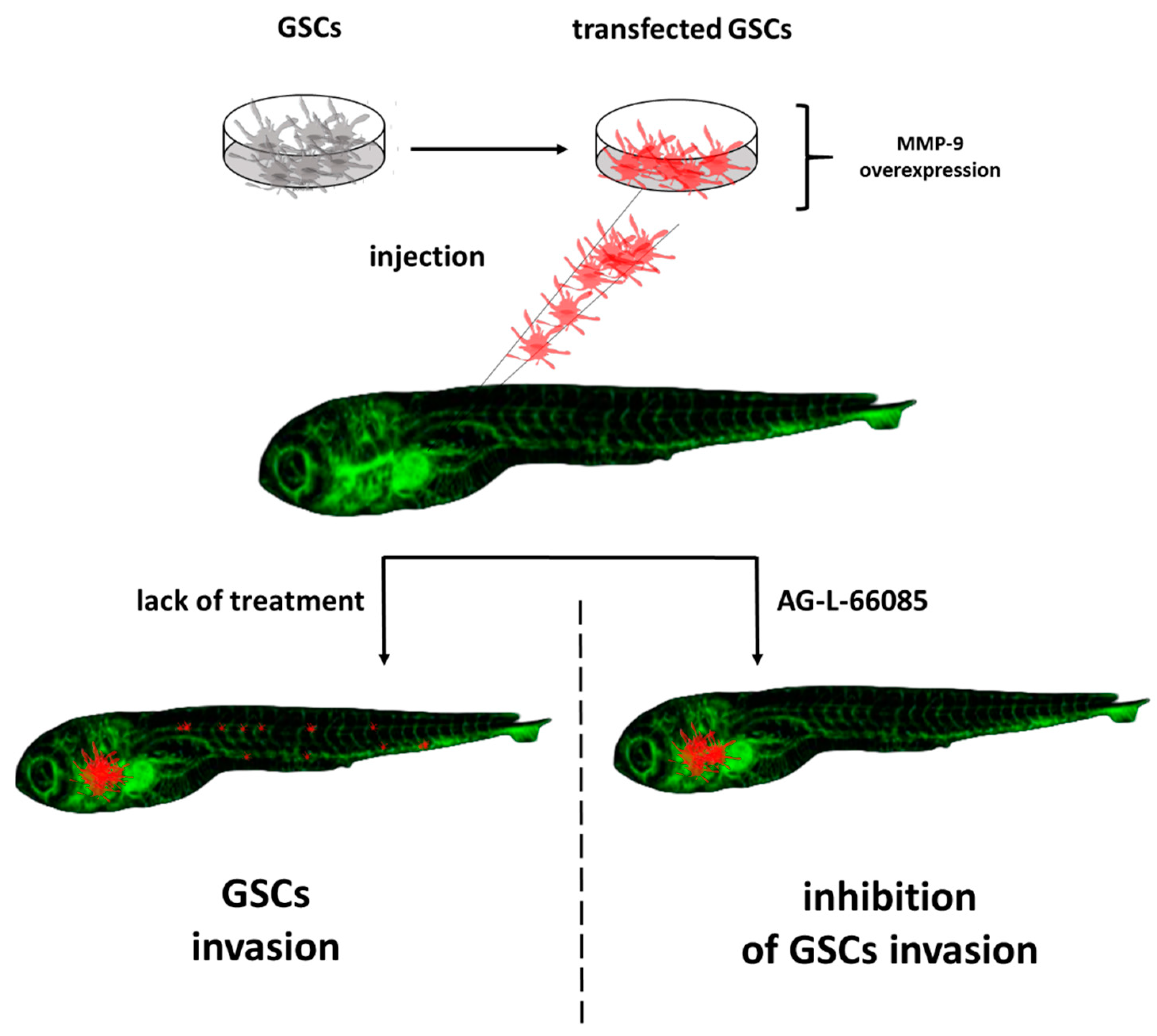 Molecules 27 04223 g002 550