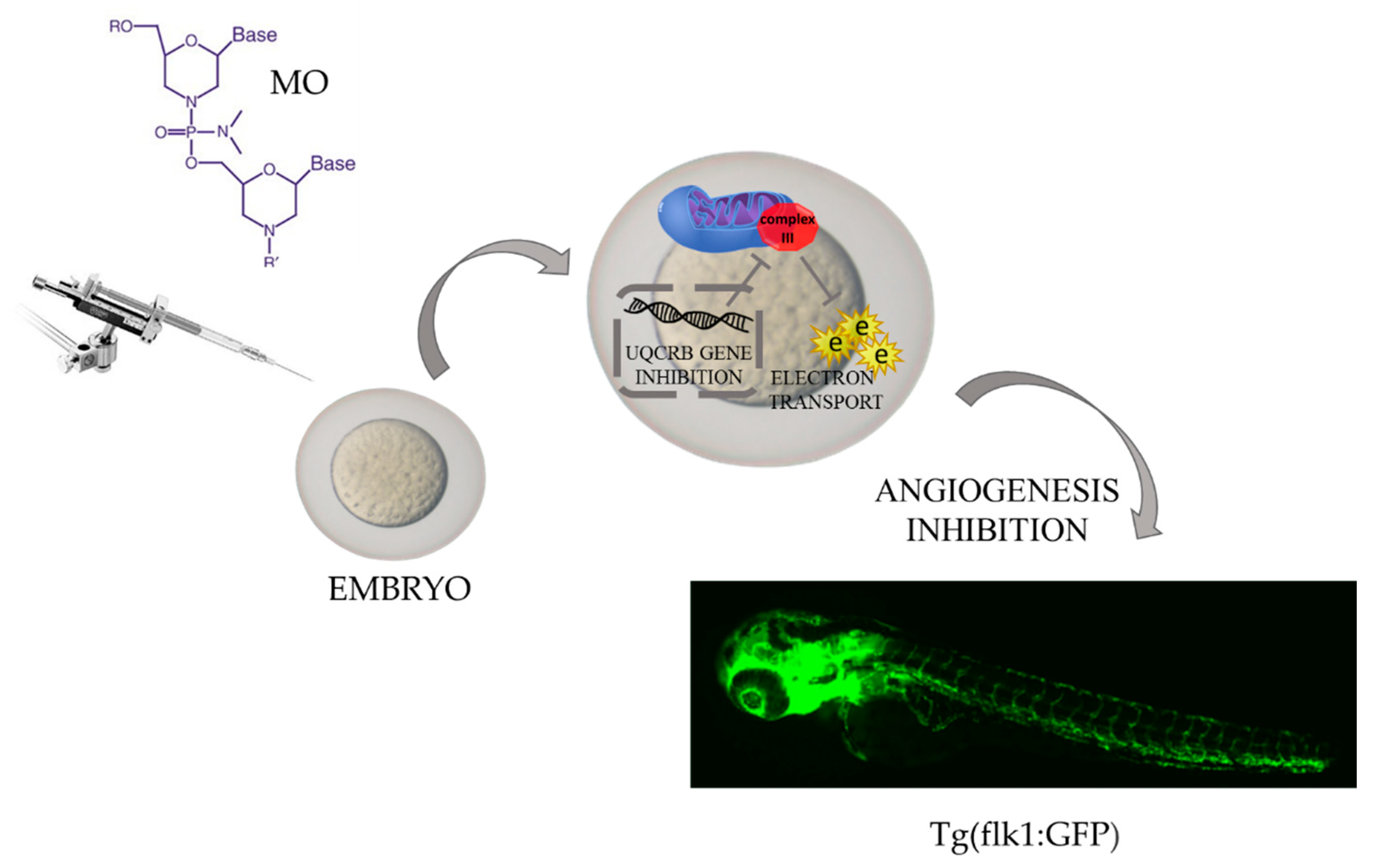 Molecules 27 04223 g003 550