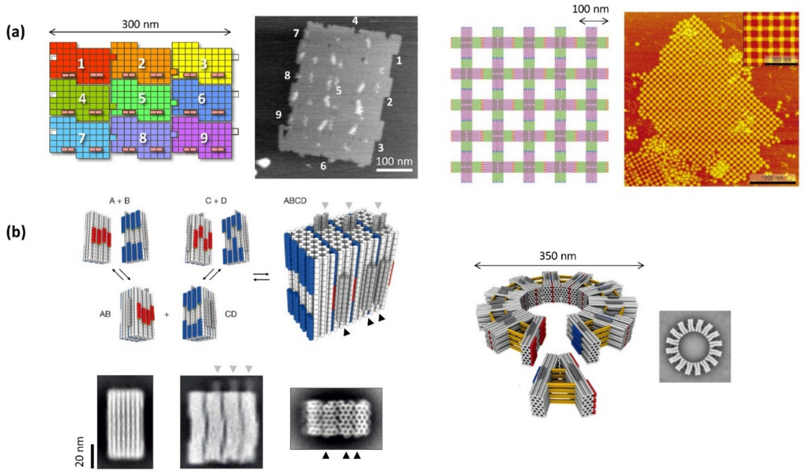 Molecules 27 04224 g001 550