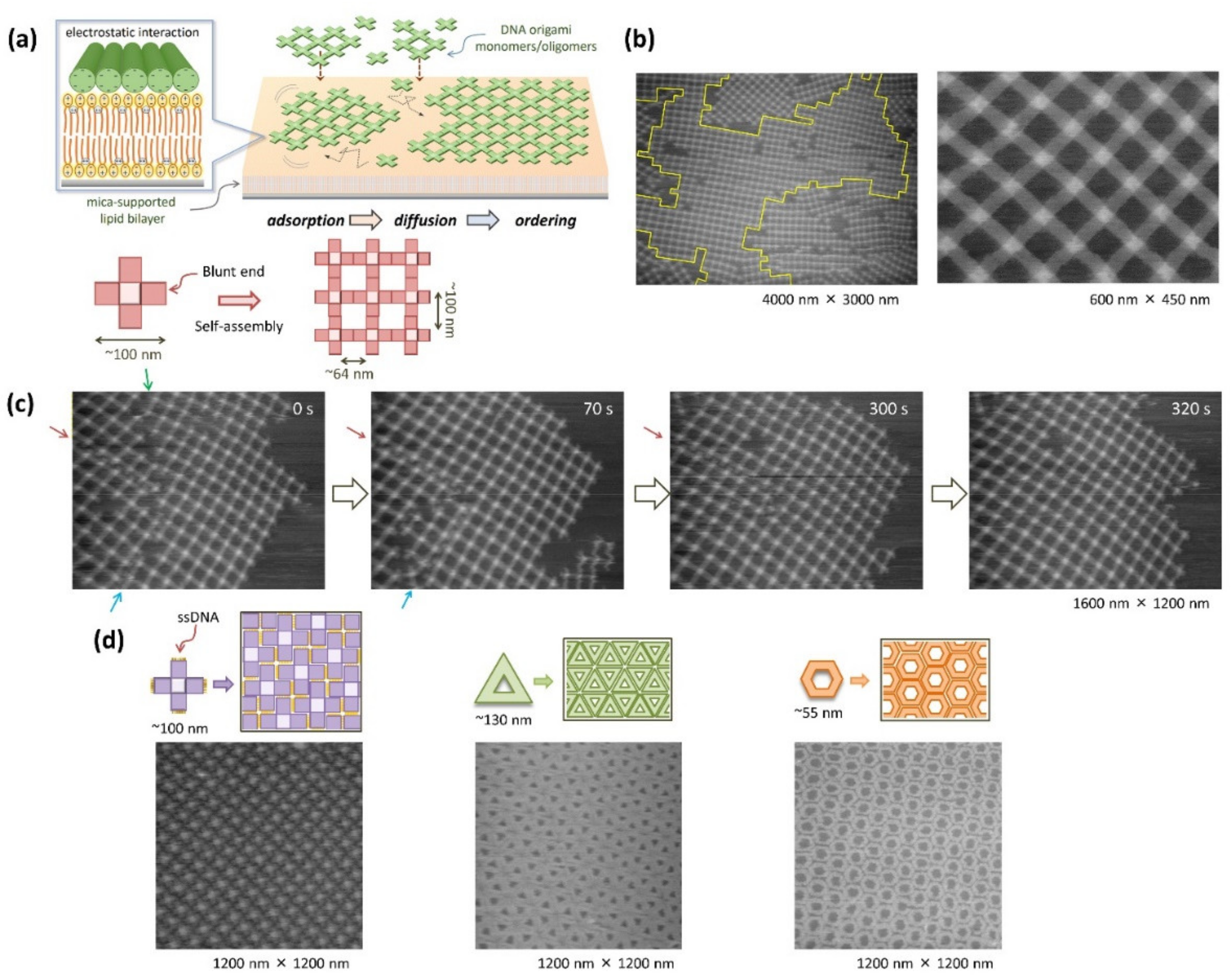 Molecules 27 04224 g003 550
