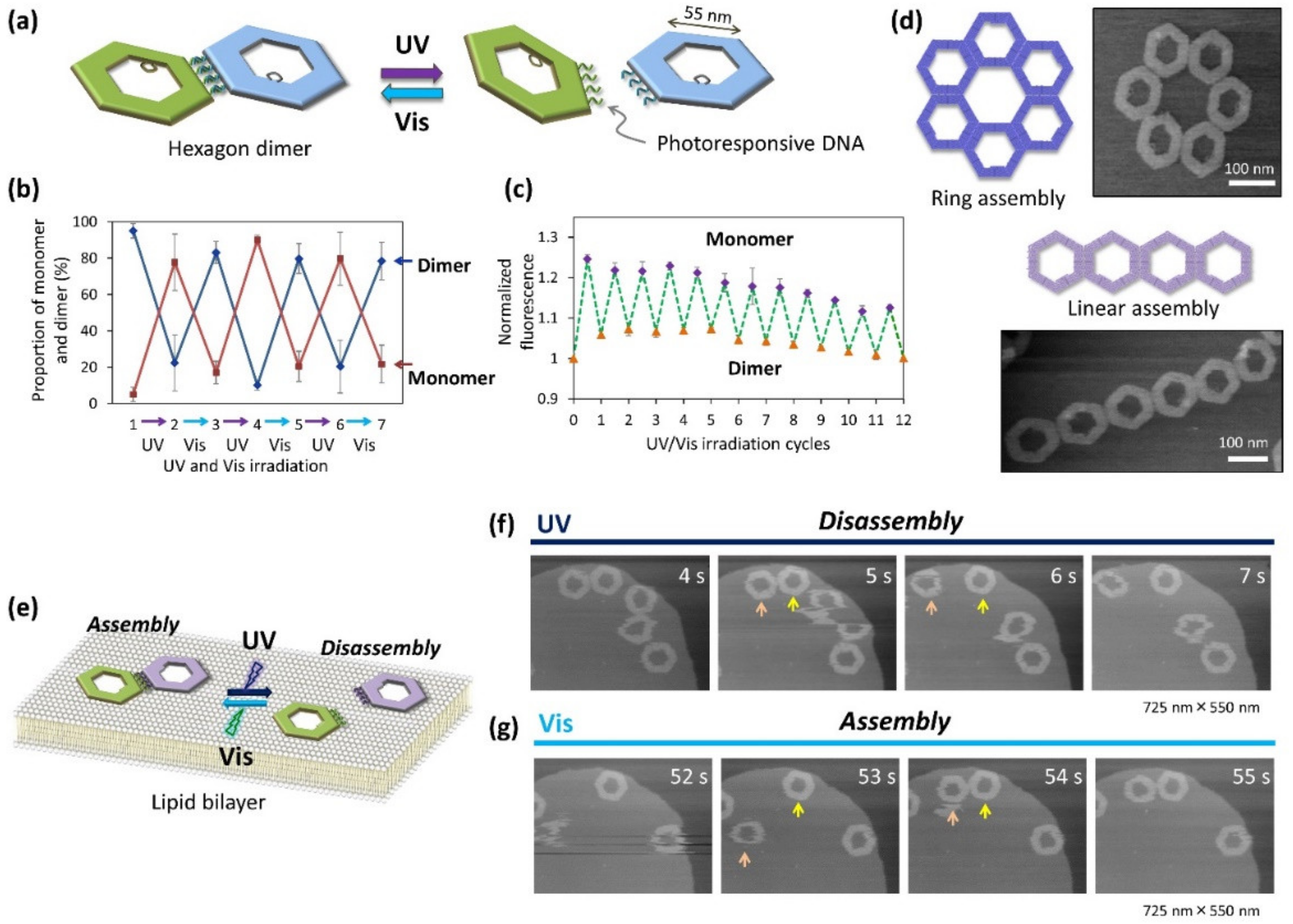 Molecules 27 04224 g007 550