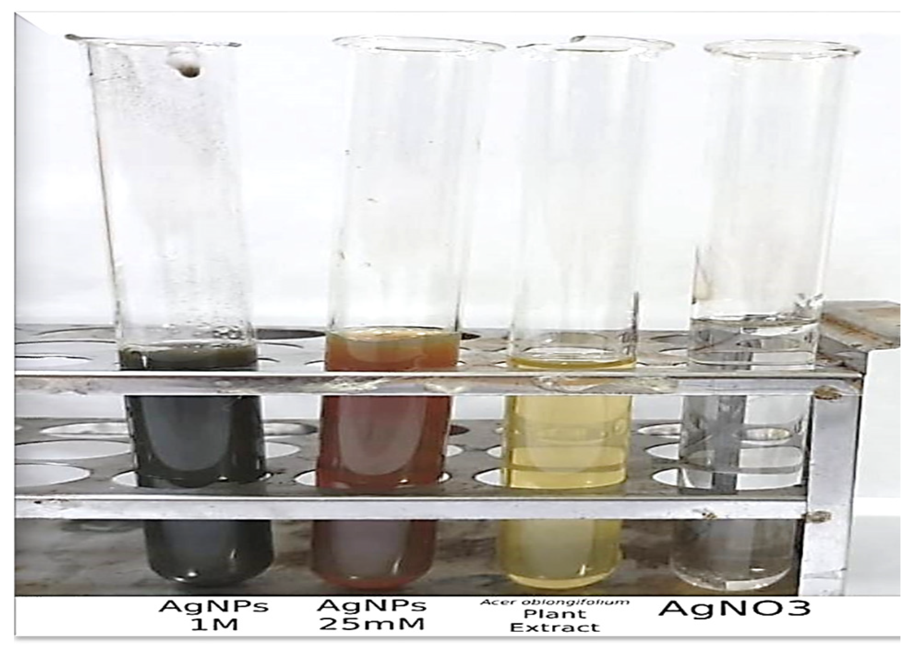 Molecules 27 04226 g001