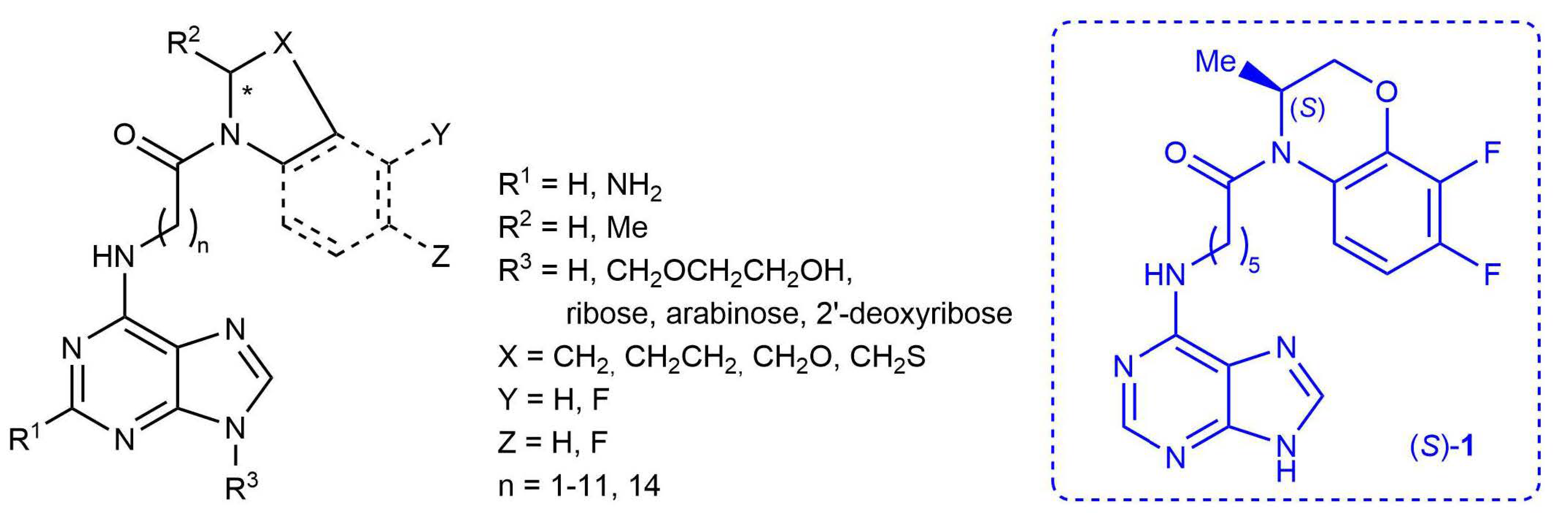 Molecules 27 04236 g002