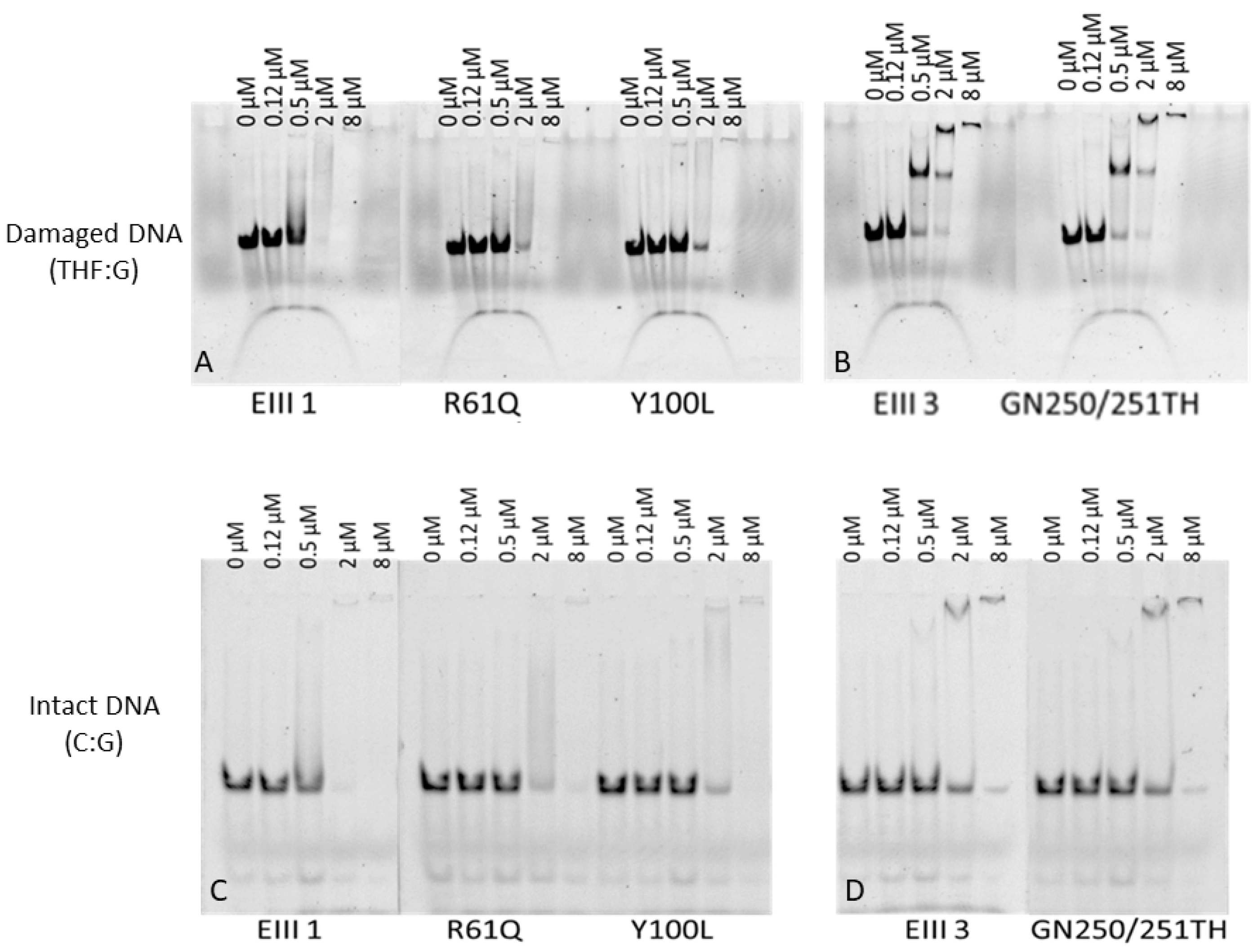 Molecules 27 04270 g002