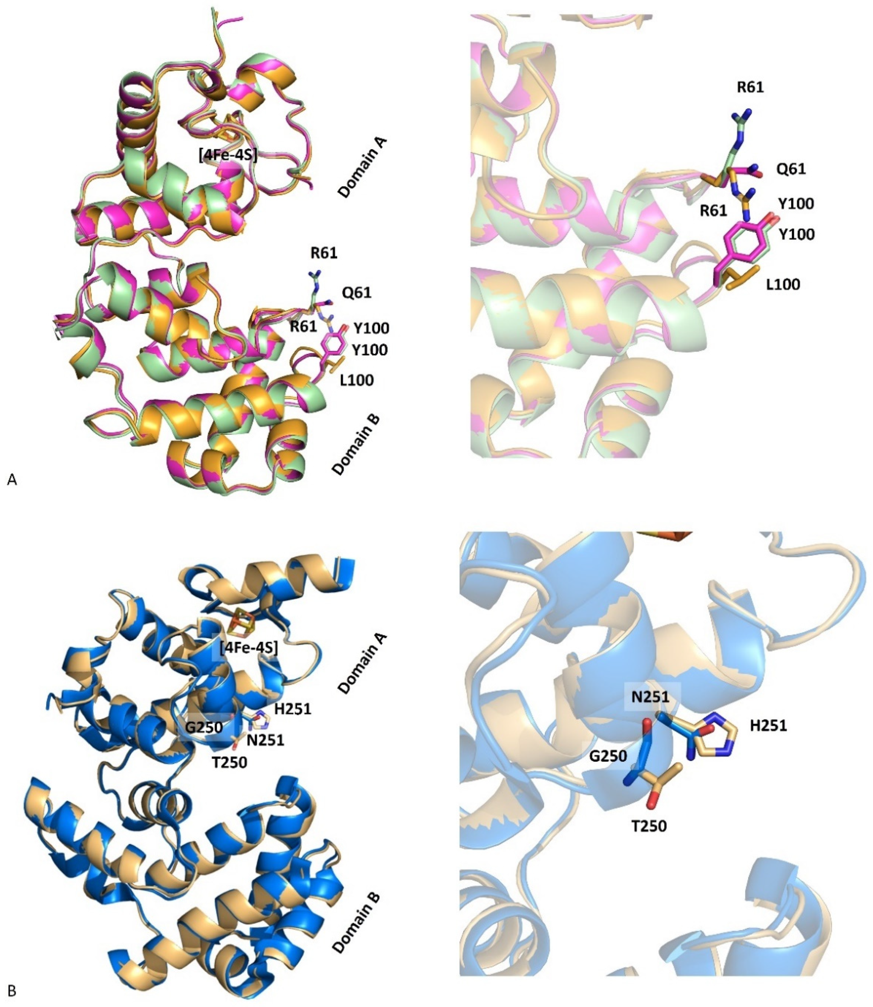 Molecules 27 04270 g003