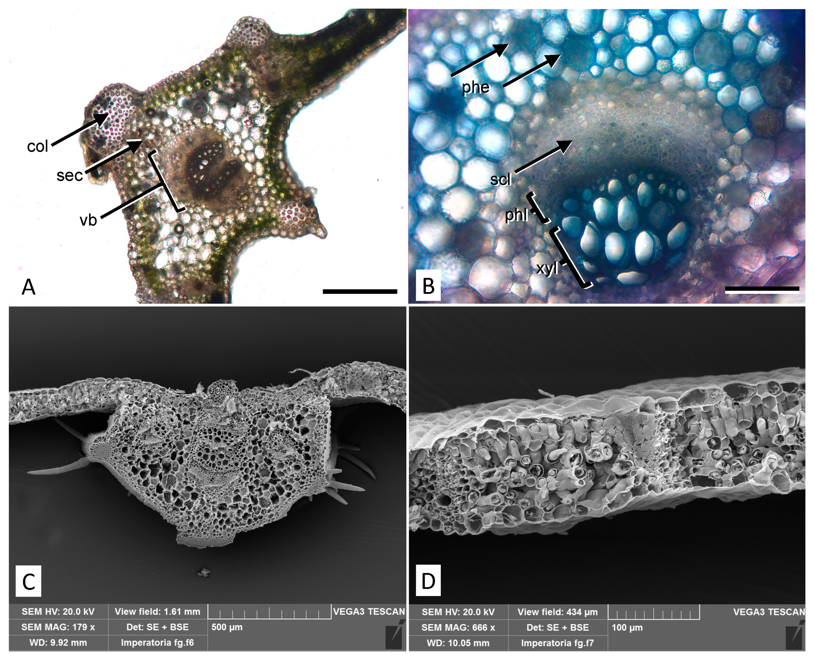 Molecules 27 04271 g002