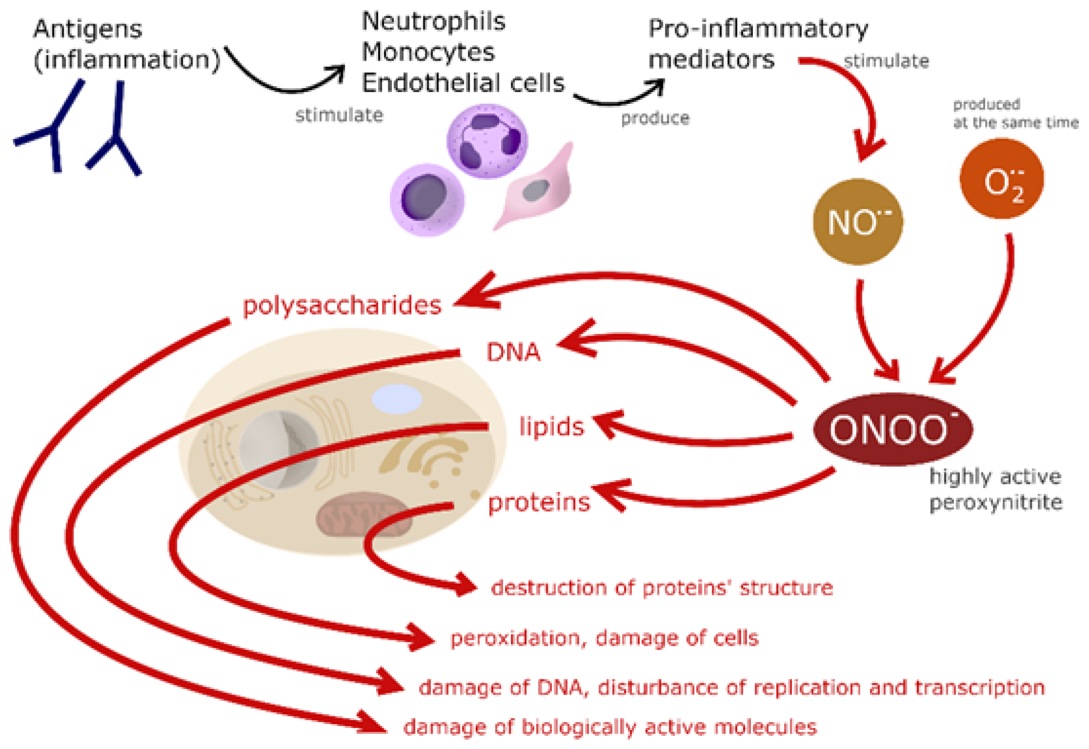 Molecules 27 04279 g001