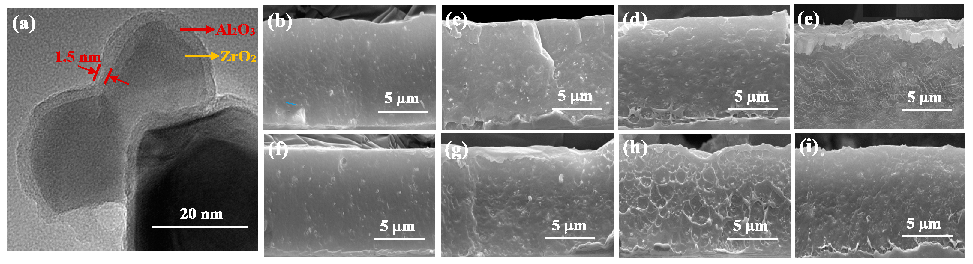 Molecules 27 04289 g001