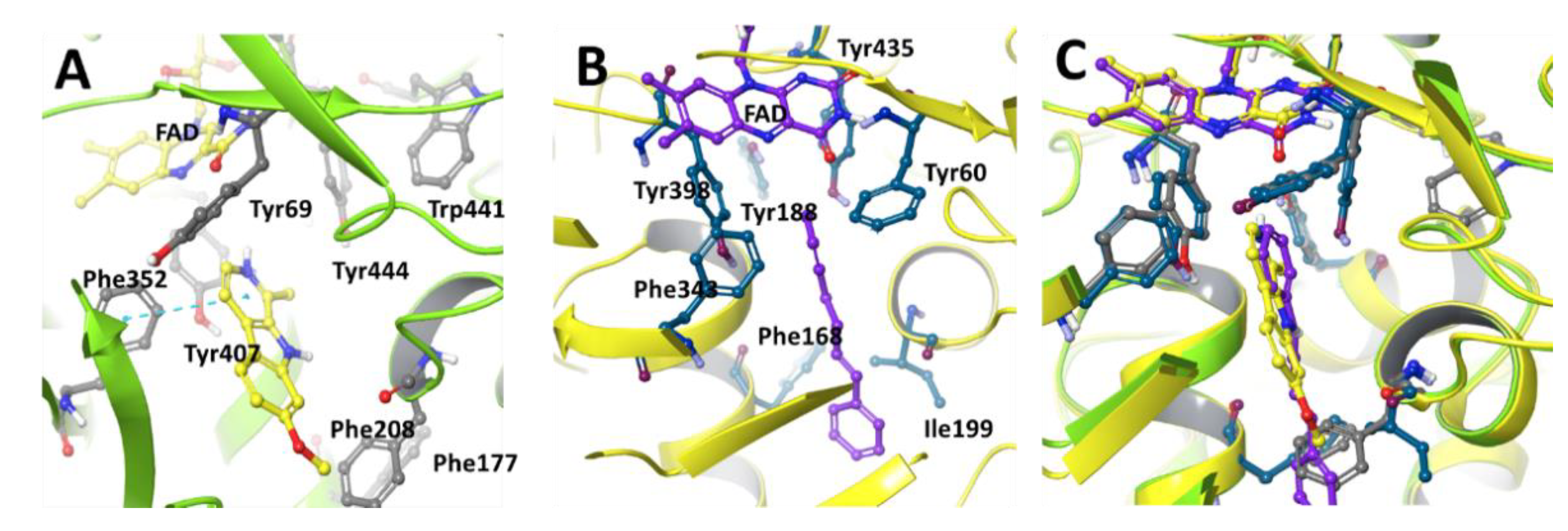 Molecules 27 04297 g002 Molecules 27 04297 g002