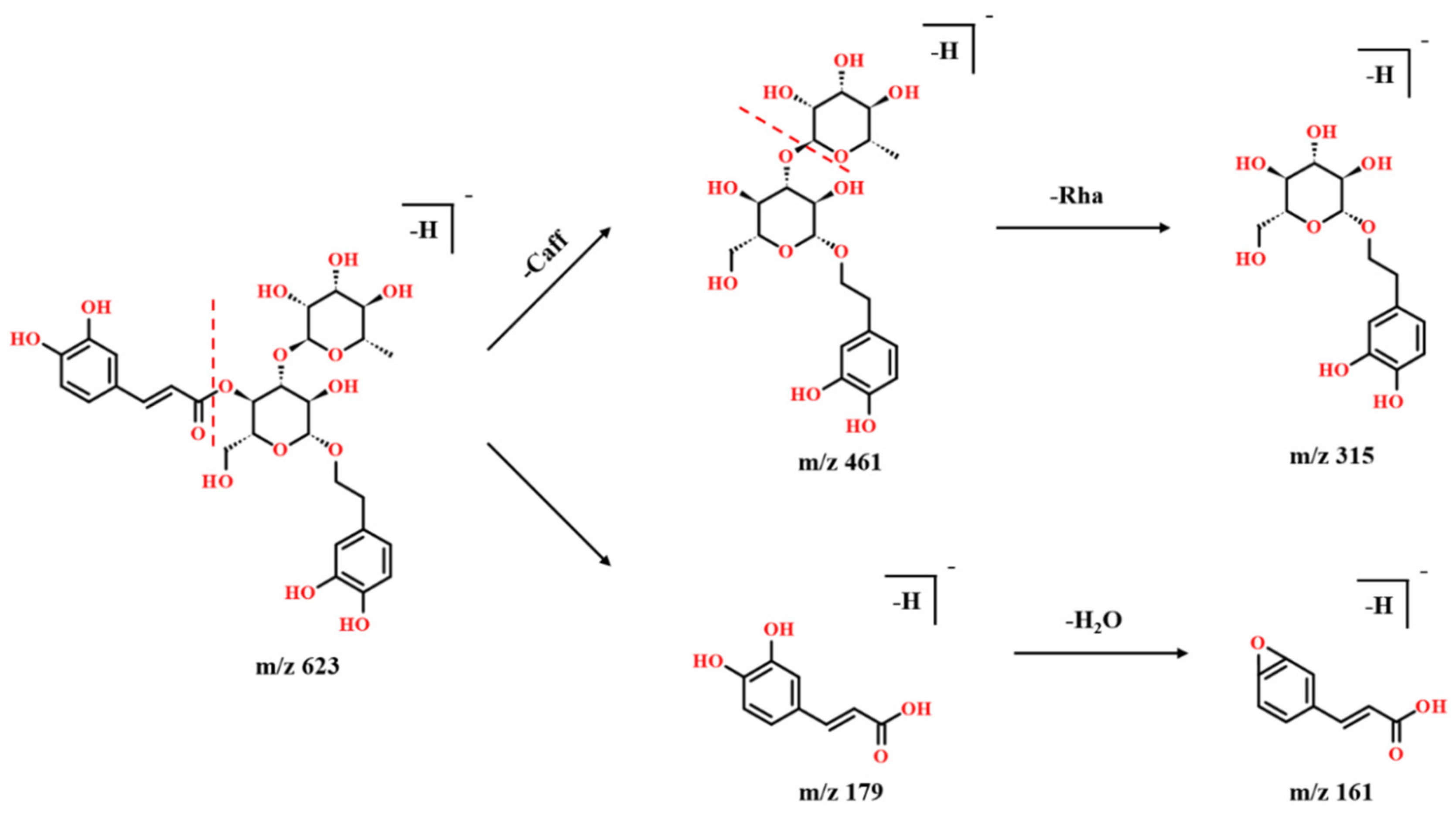 Molecules 27 04302 g003 Molecules 27 04302 g003