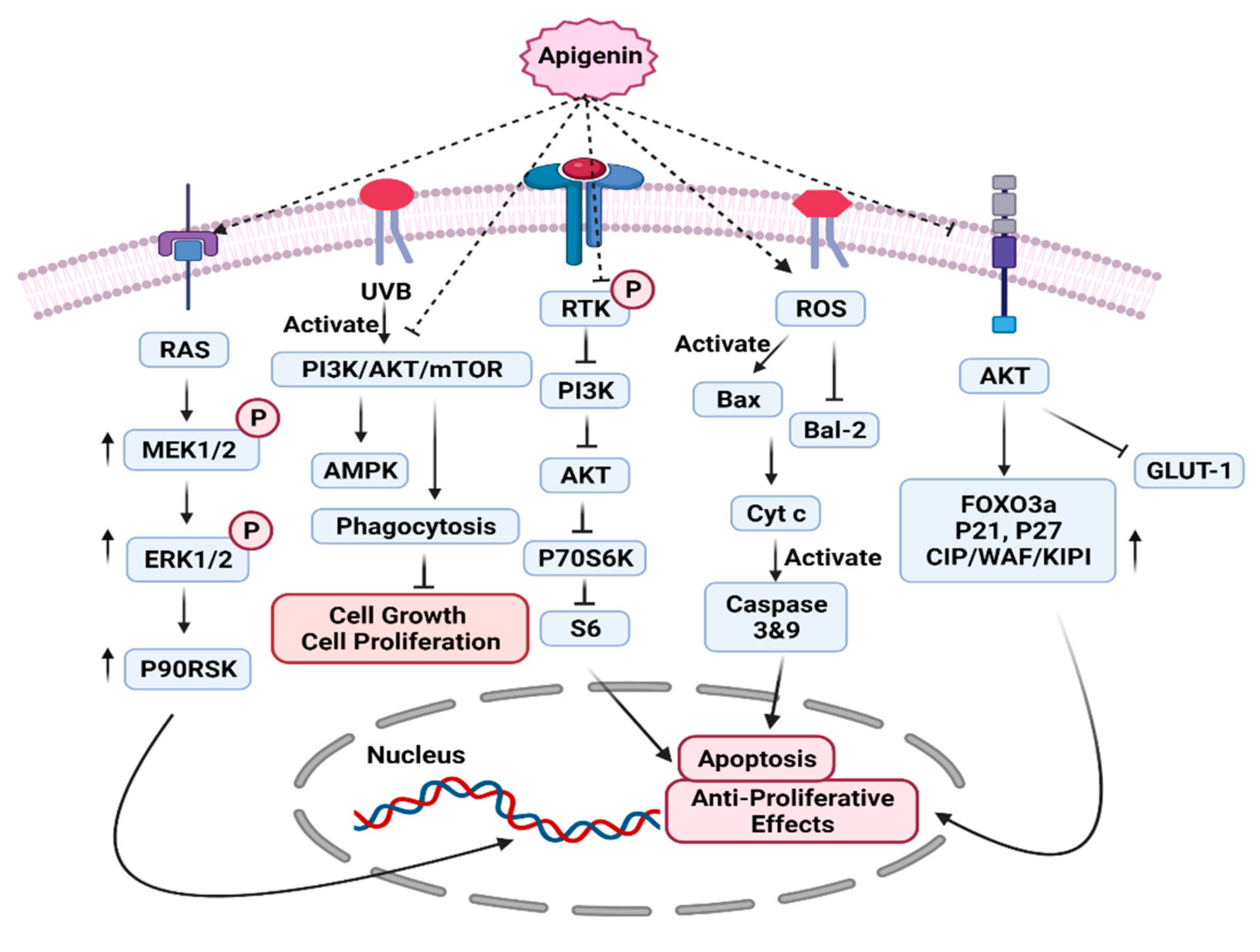 Molecules 27 04304 g002 Molecules 27 04304 g002