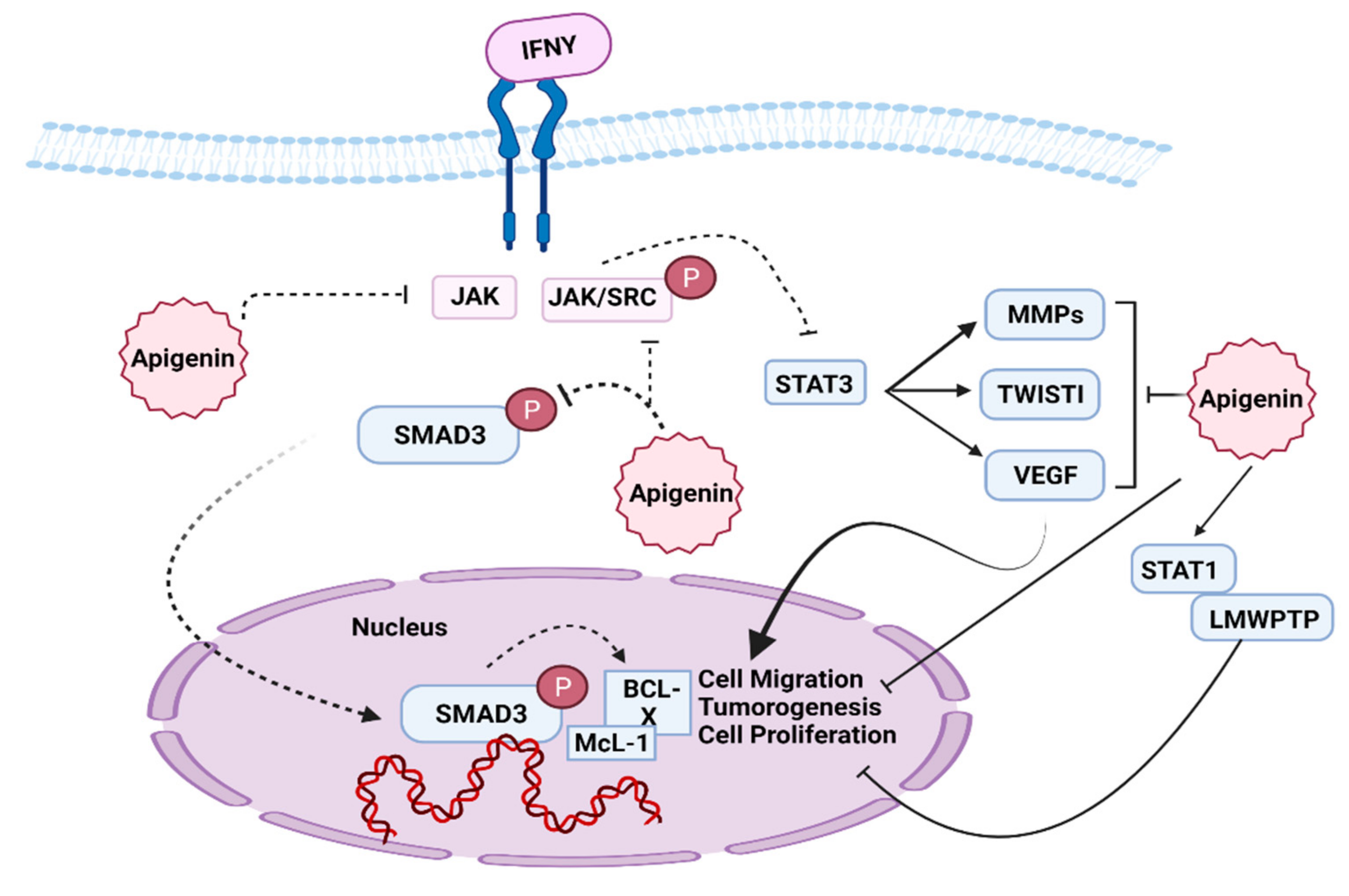 Molecules 27 04304 g003 Molecules 27 04304 g003