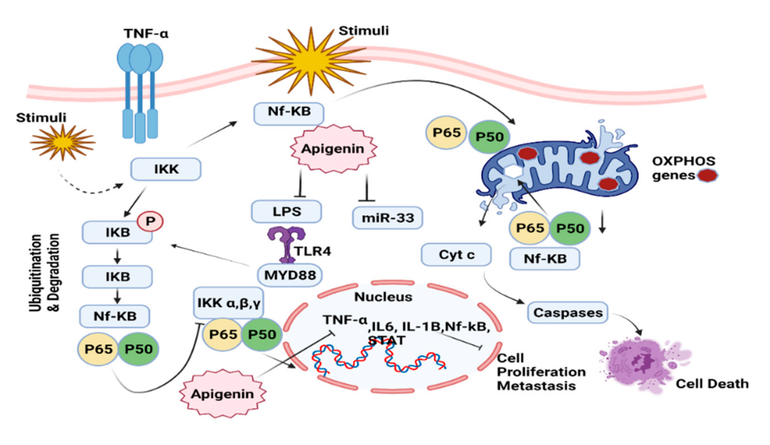 Molecules 27 04304 g004 Molecules 27 04304 g004