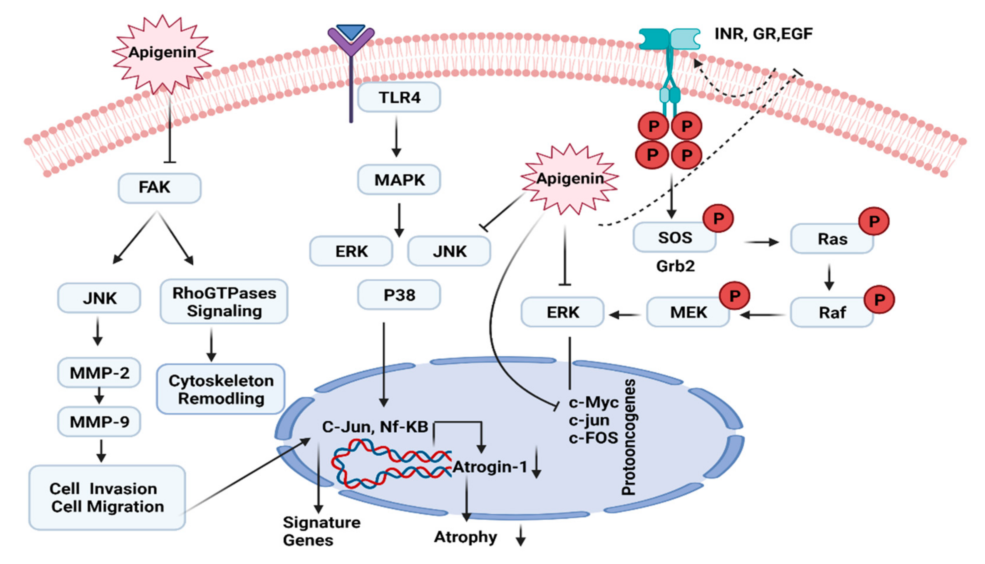 Molecules 27 04304 g005 Molecules 27 04304 g005