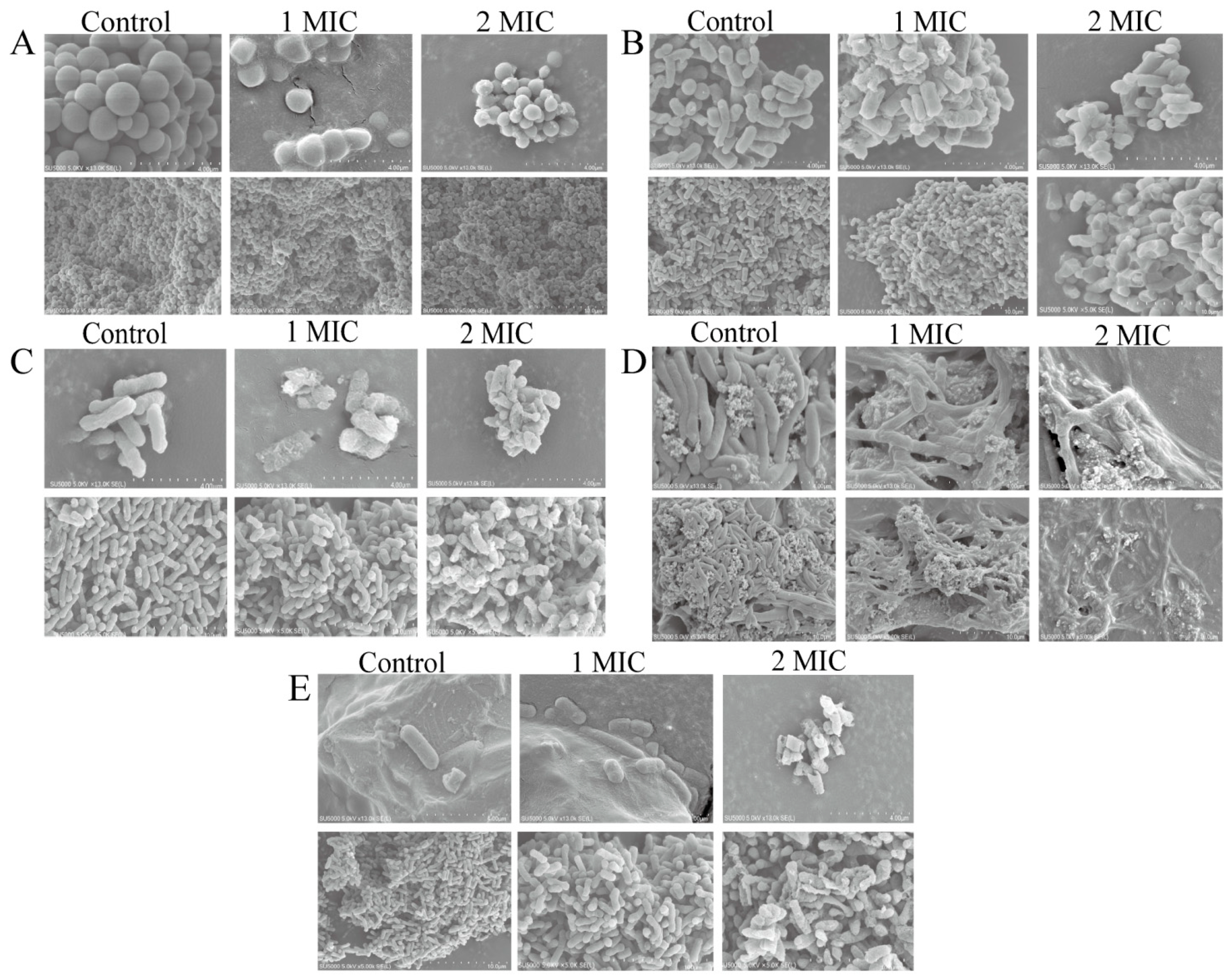 Molecules 27 04308 g004 Molecules 27 04308 g004