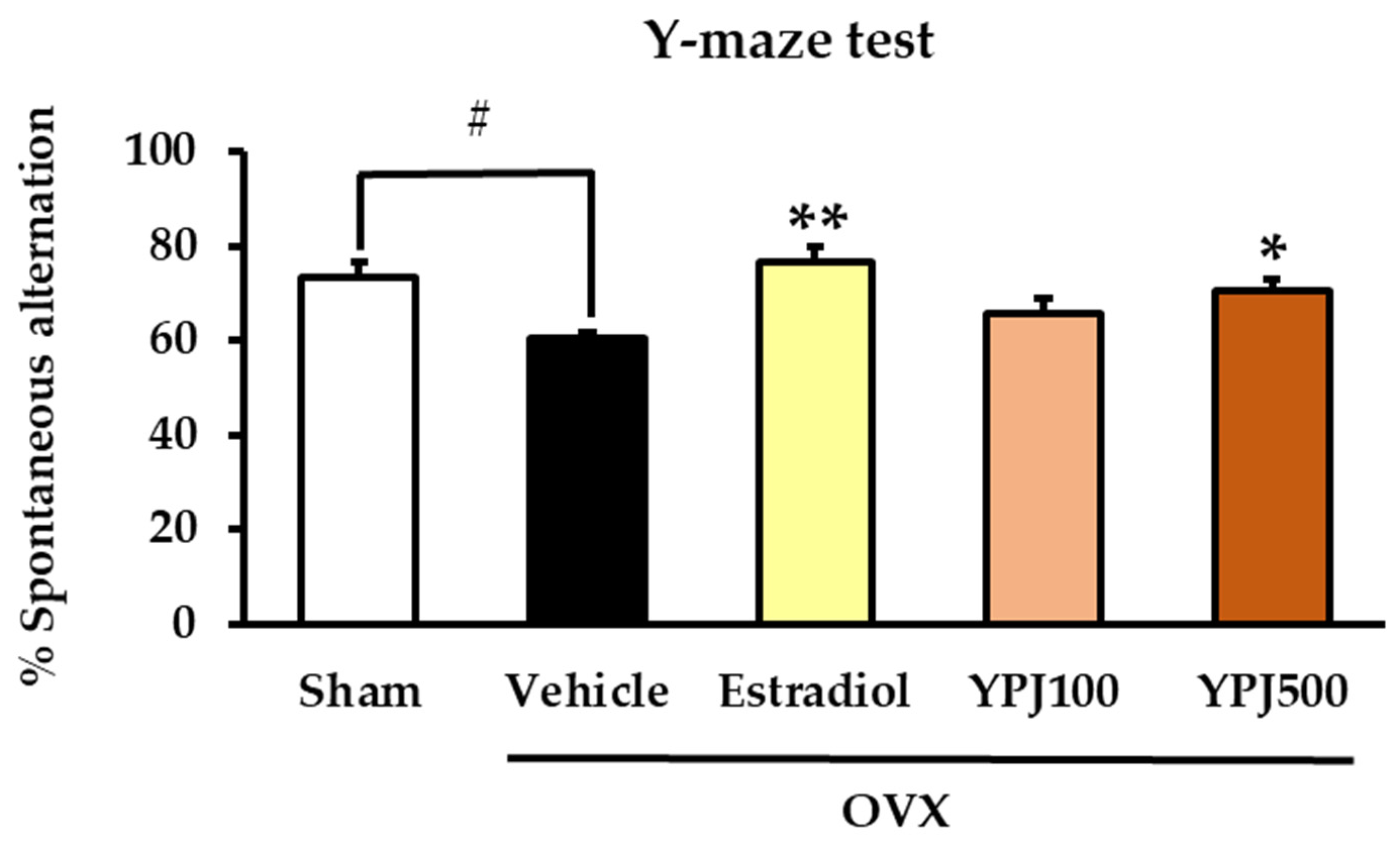 Solving the Maze Problem: Varieties, by Arjun P