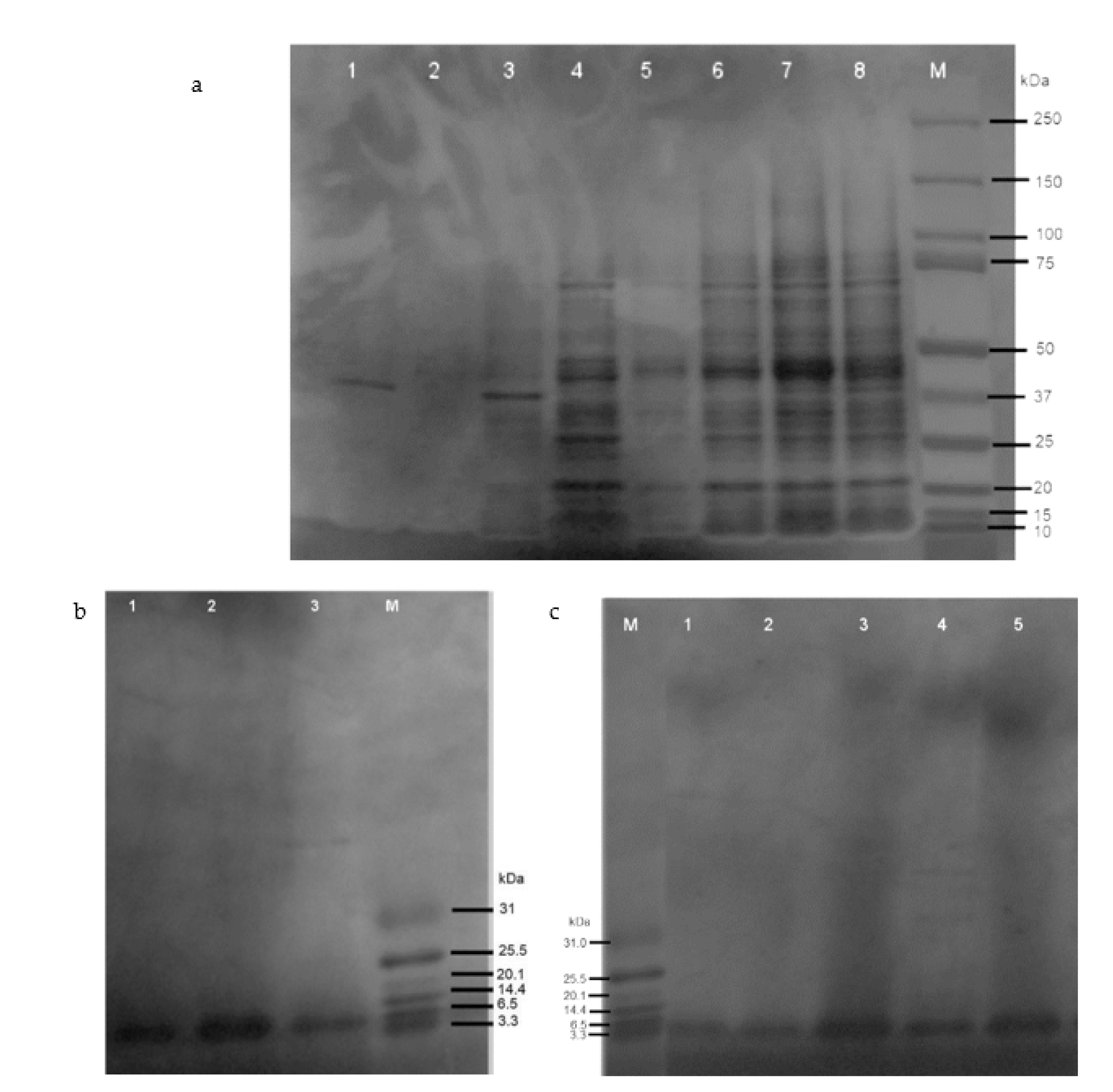 Molecules 27 04325 g003