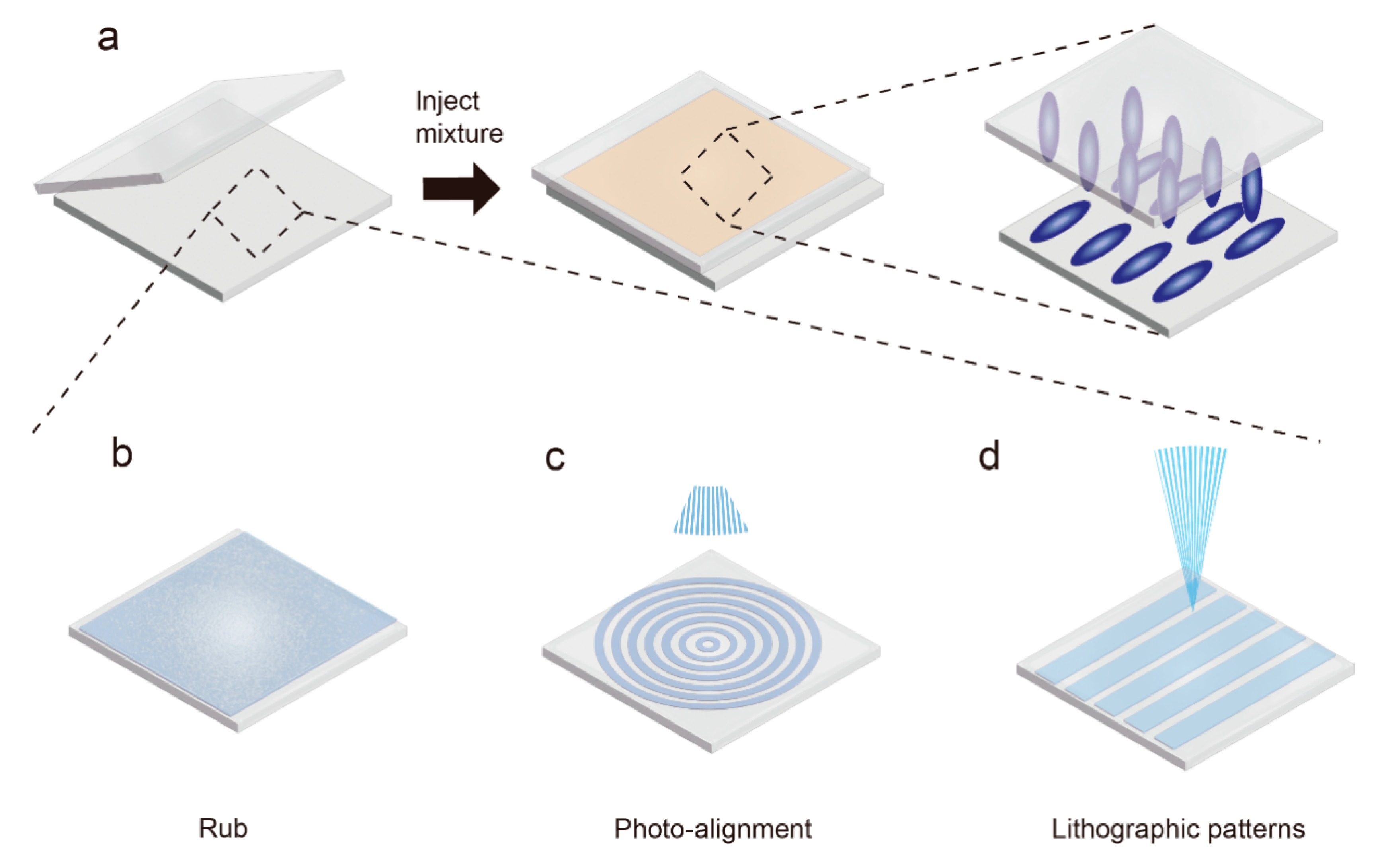 Molecules 27 04330 g007