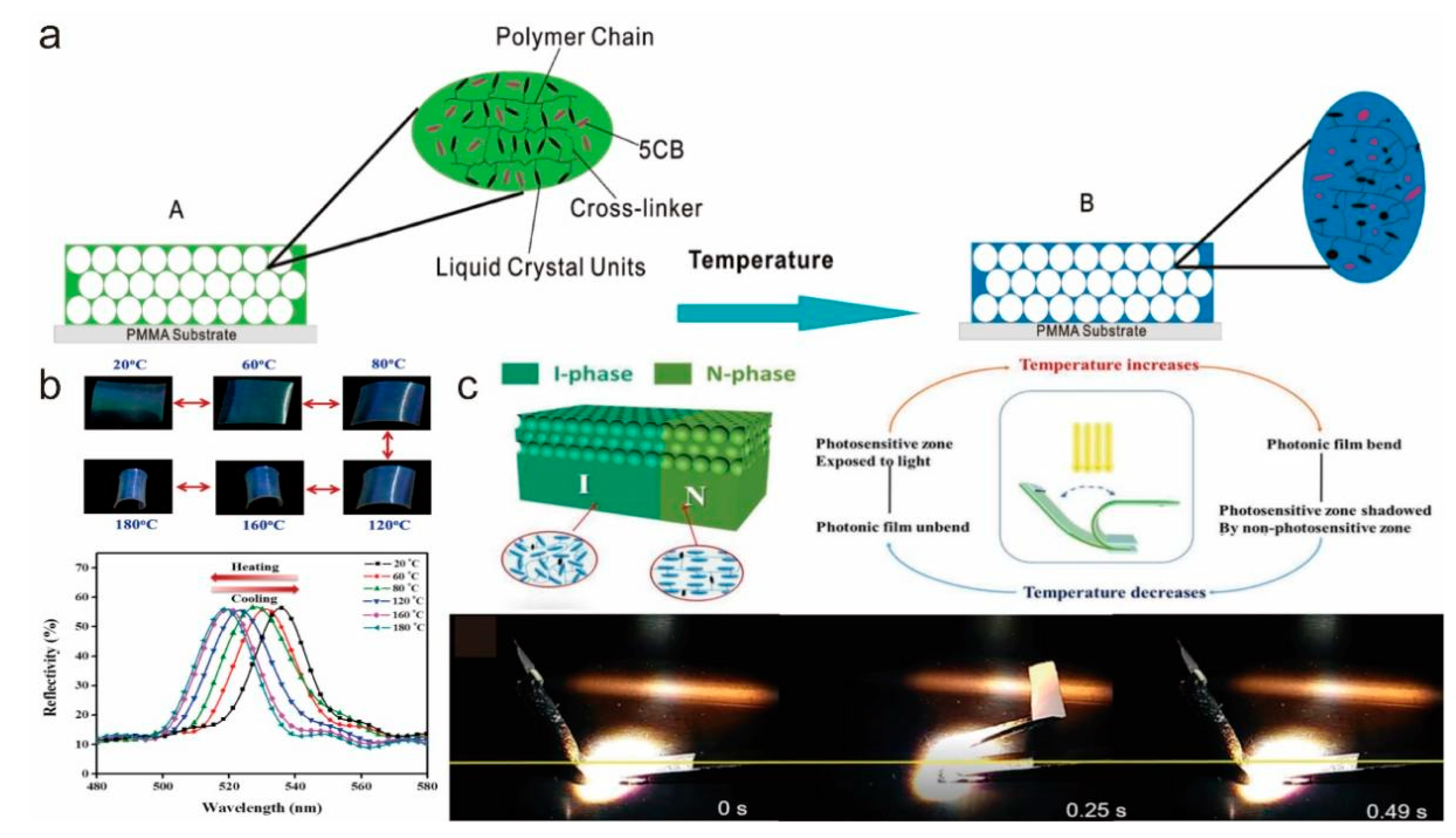 Molecules 27 04330 g008