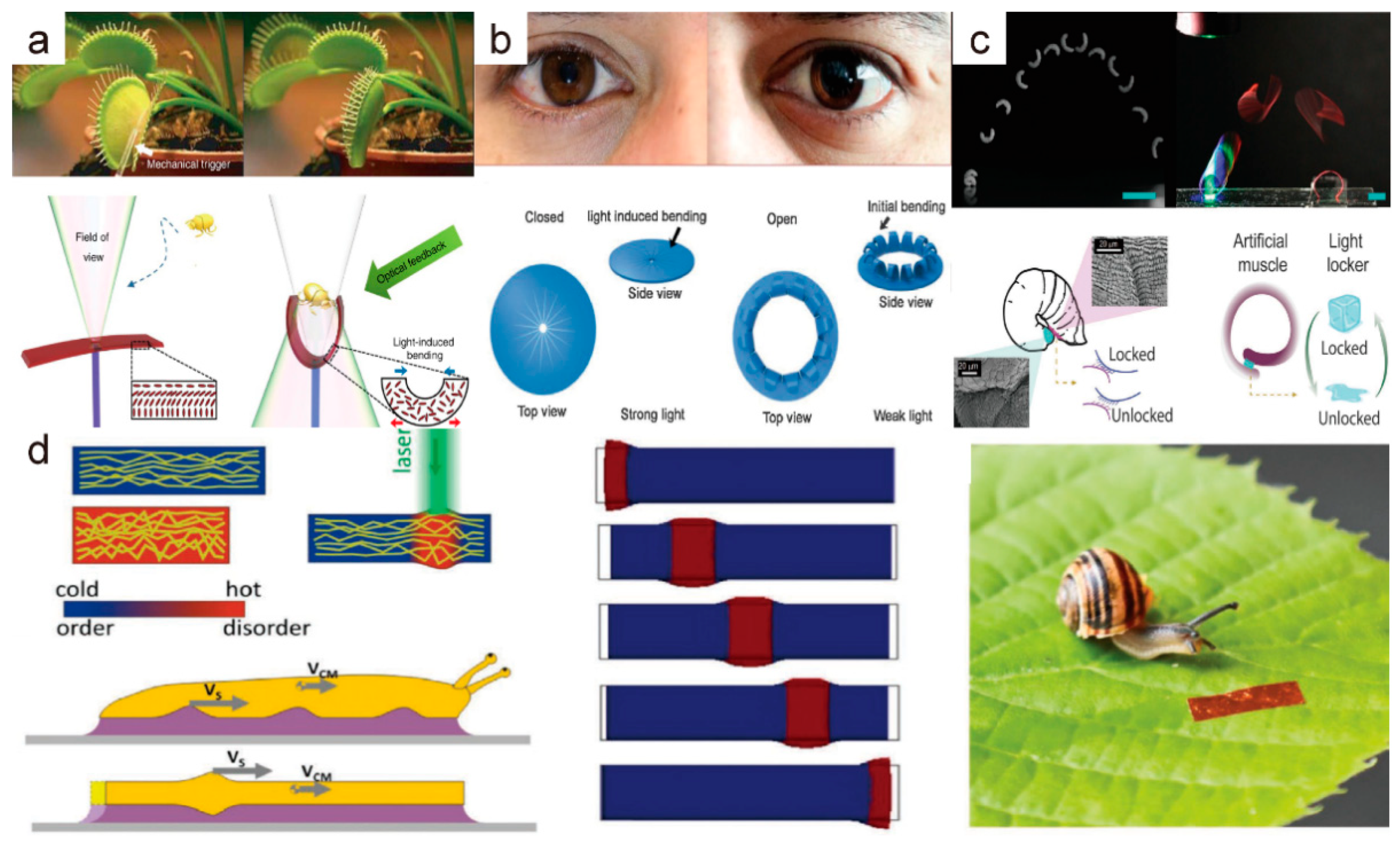 Molecules 27 04330 g009