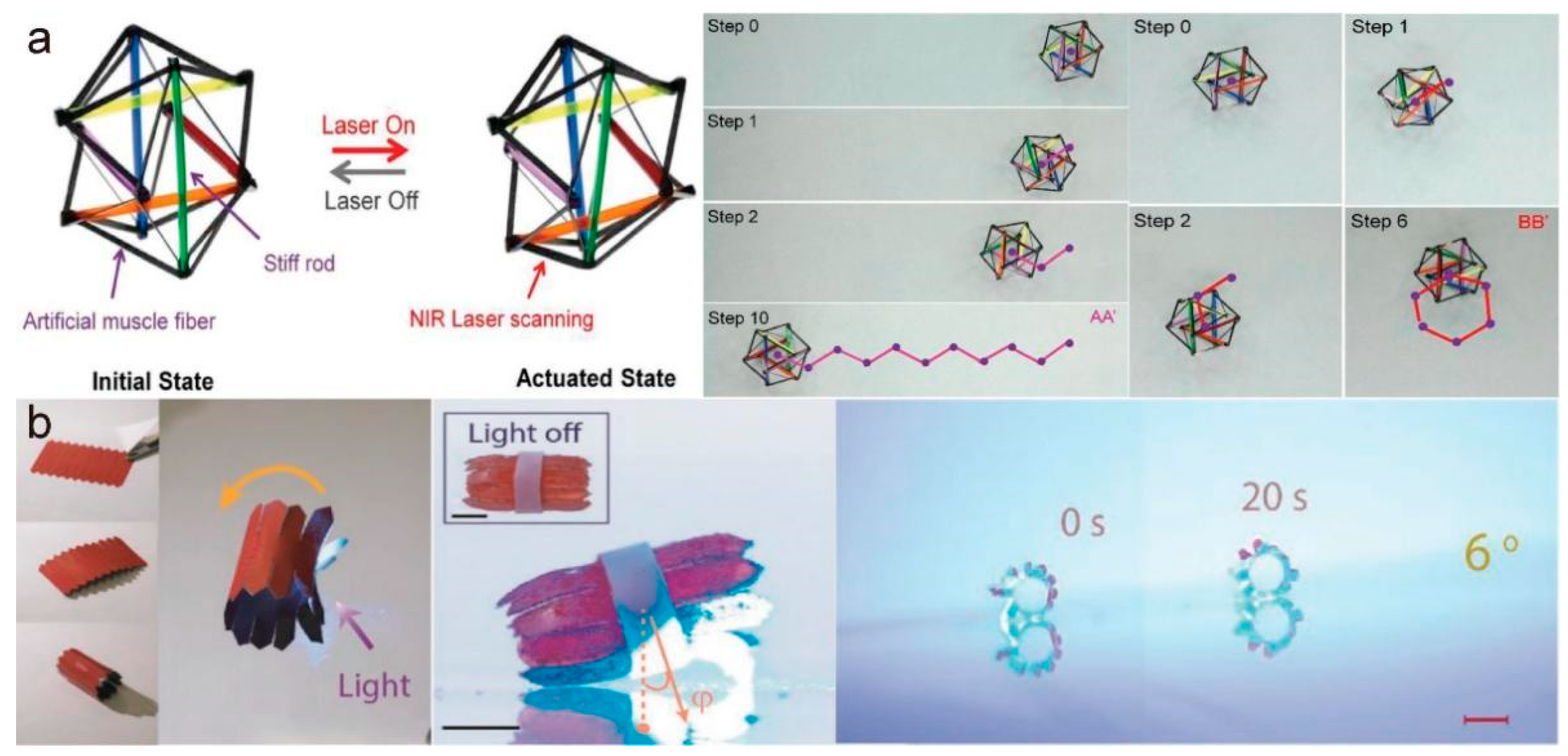 Molecules 27 04330 g012